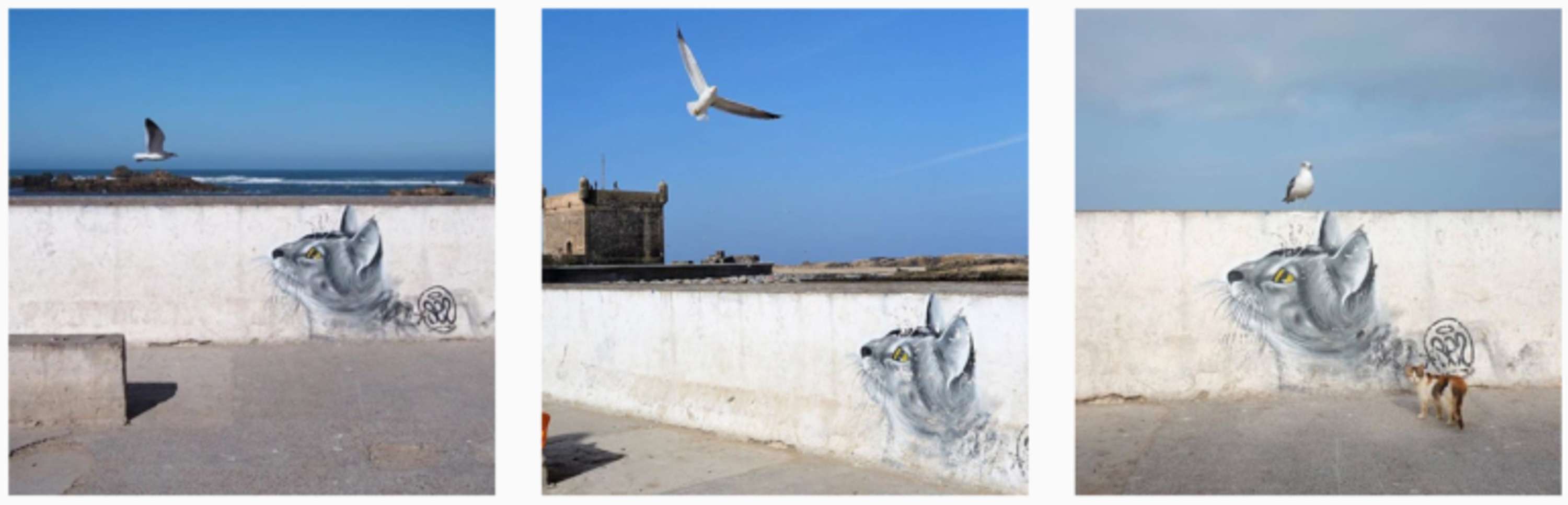 Curatorial project: StreetRepeat by Julie Hrudova