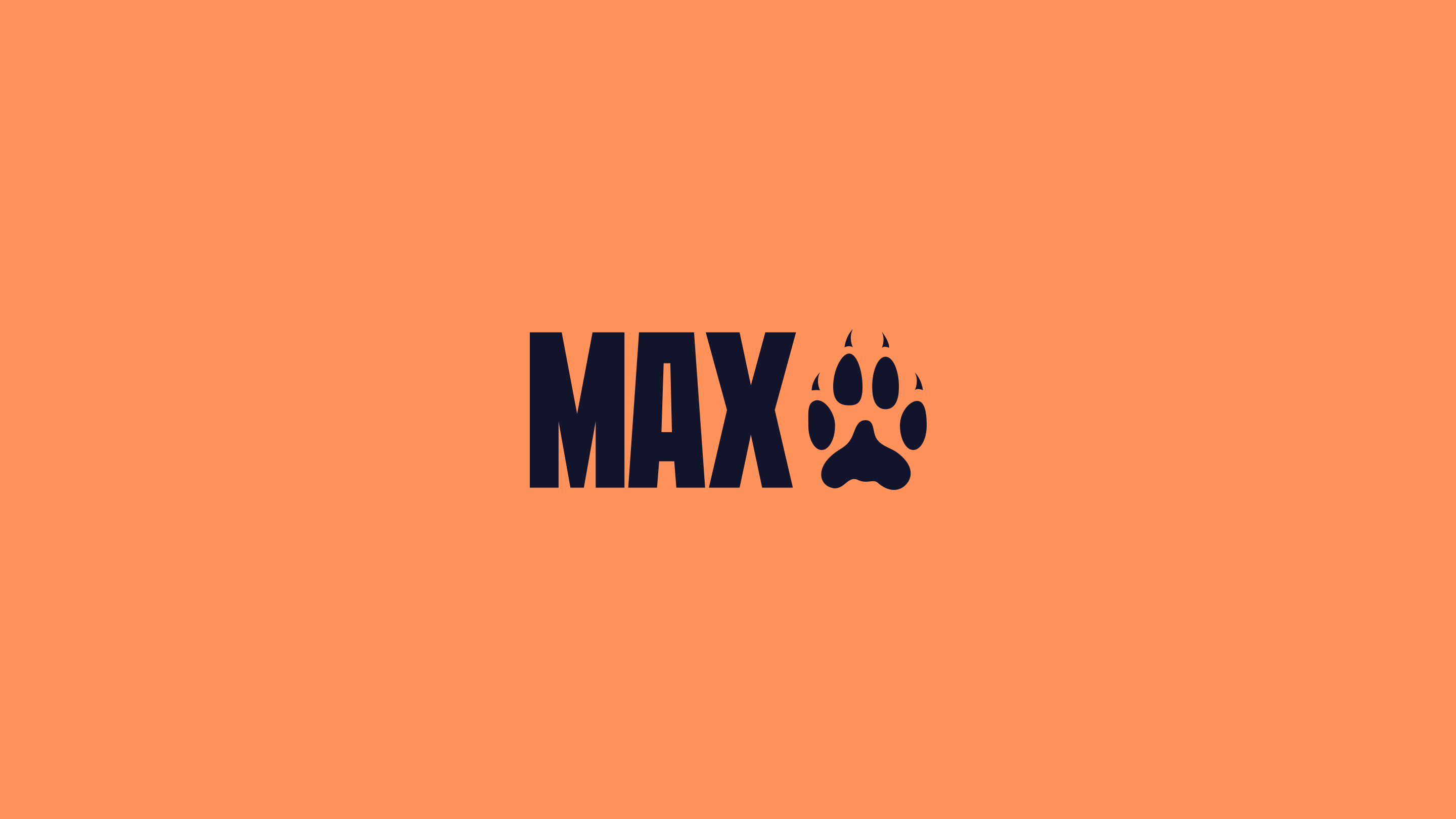 Max Coyote by Siân Louise Spicer
