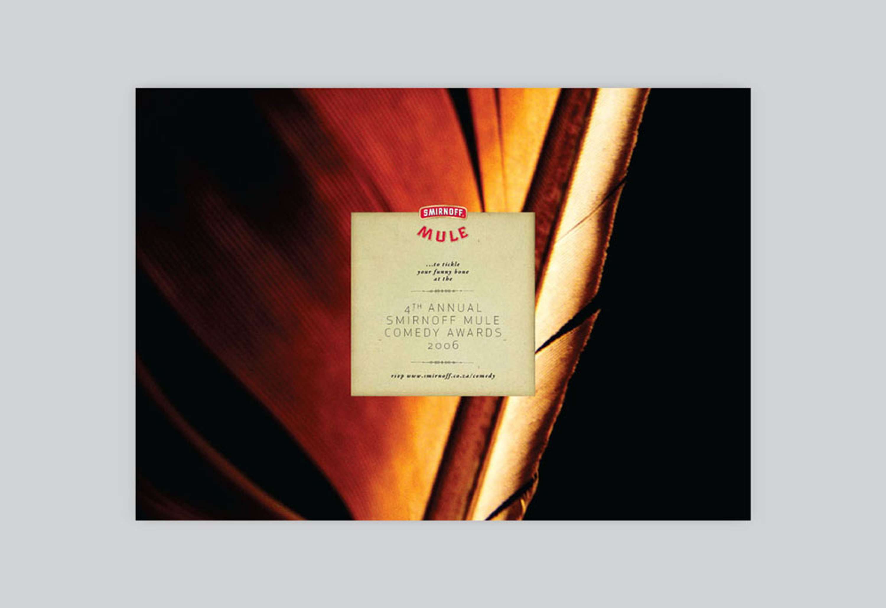 Design / Art Direction by Craig Baxter