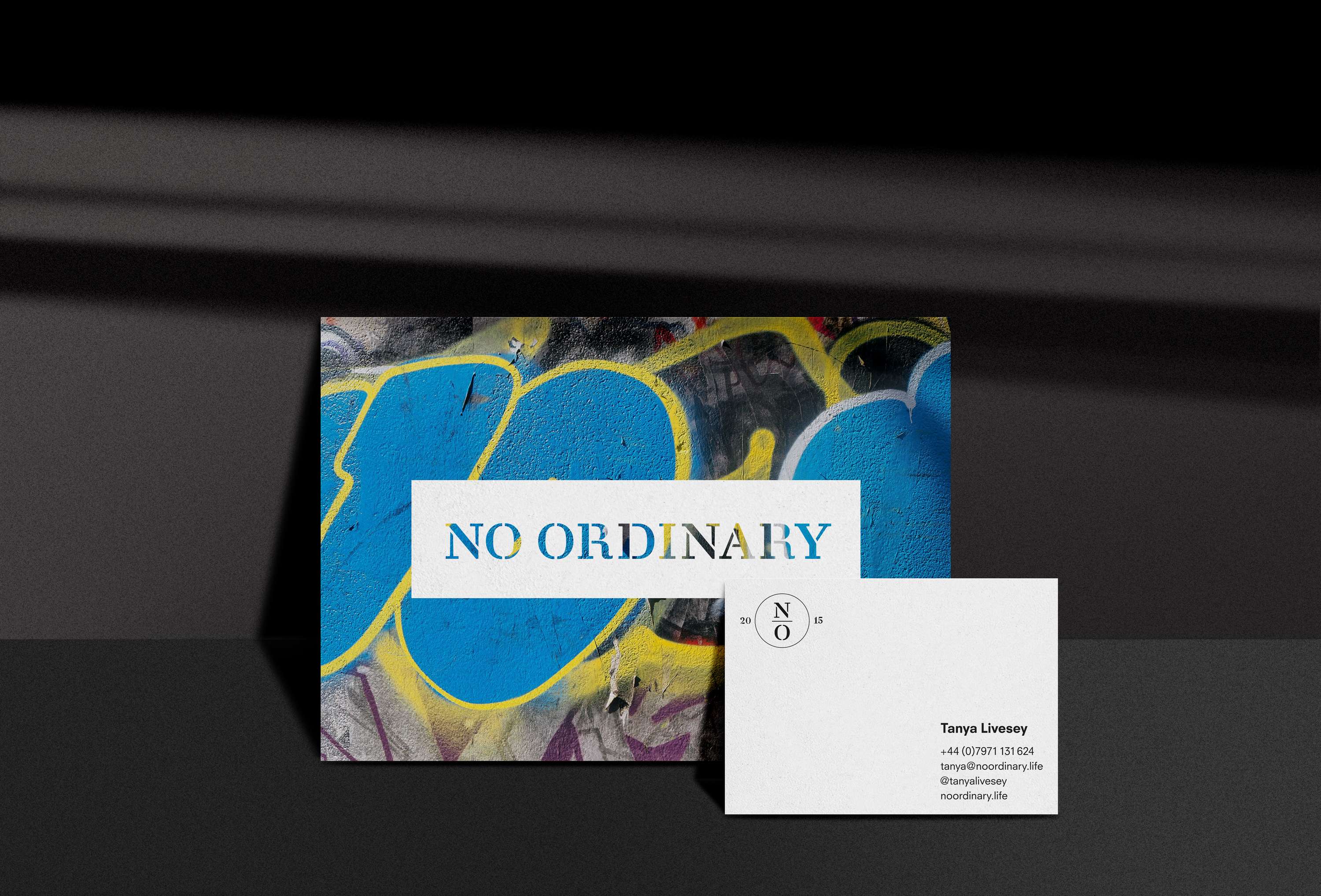 No Ordinary by Will Rees