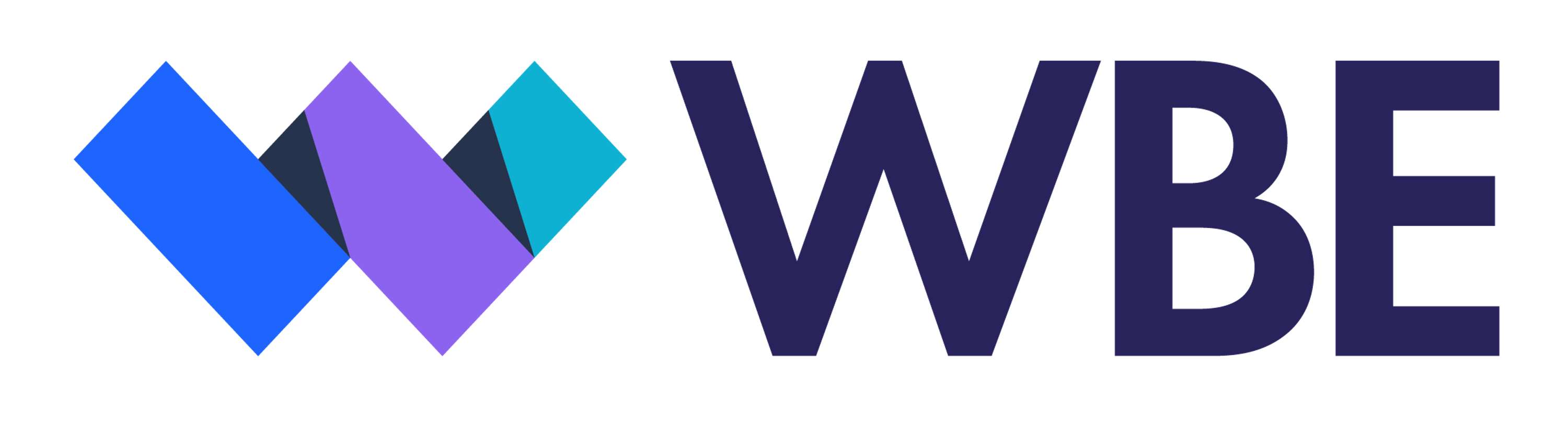 WBE: Website Builder Expert by MVF