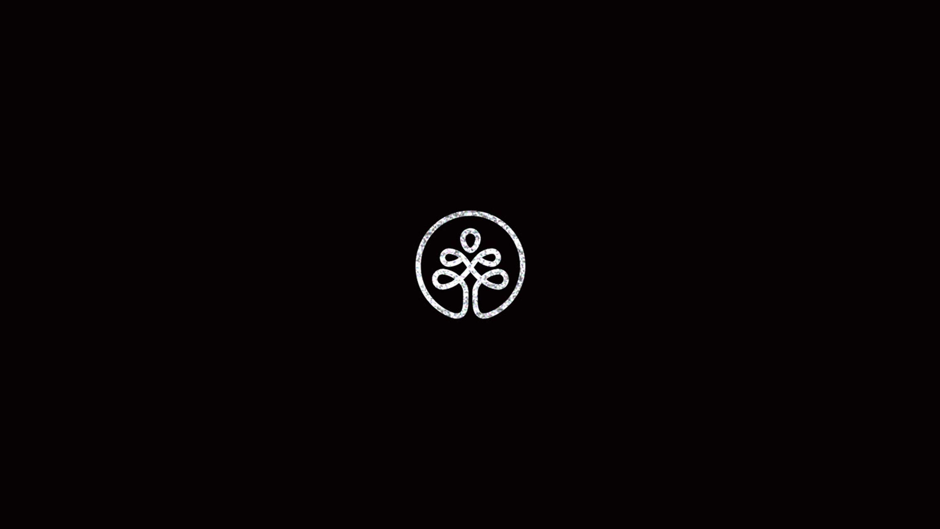 Logotypes - Bagstudios by Miles Hirsh