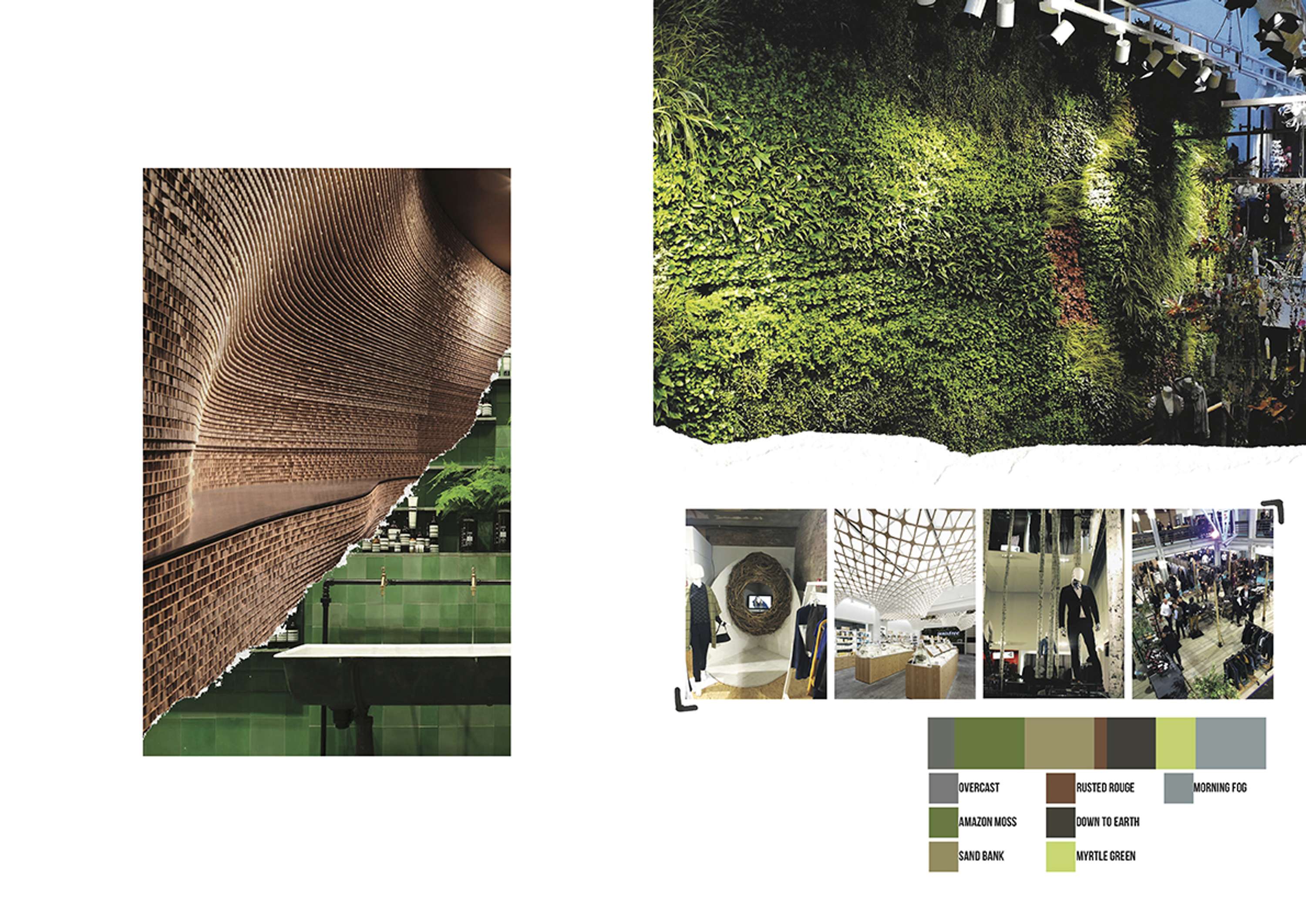 Trend Report by Jay Harris