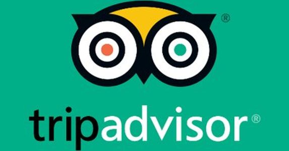 Global Head of Performance Marketing (Viator) Job at TripAdvisor