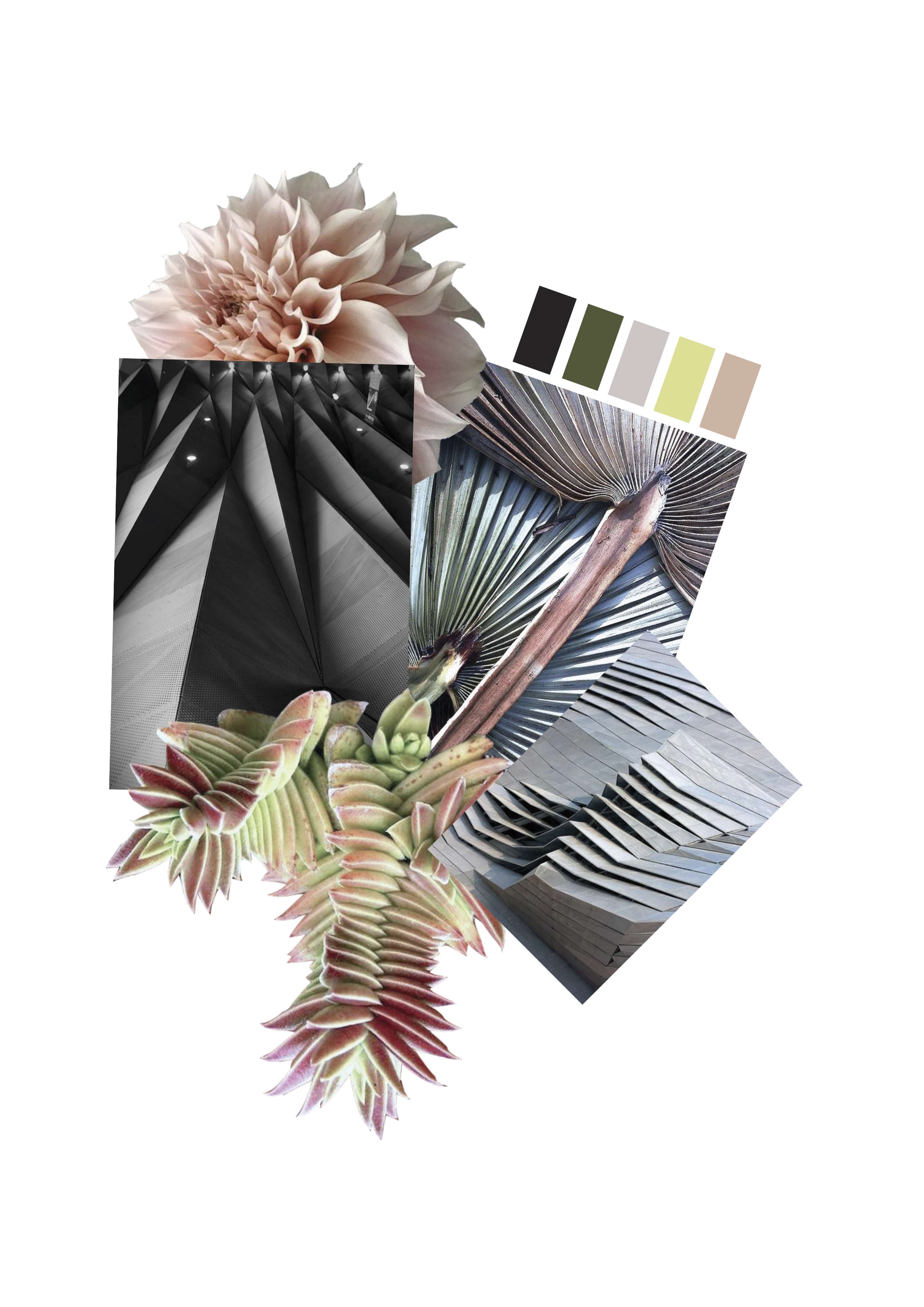 Pleats In Architecture & Nature by Sophie Jones