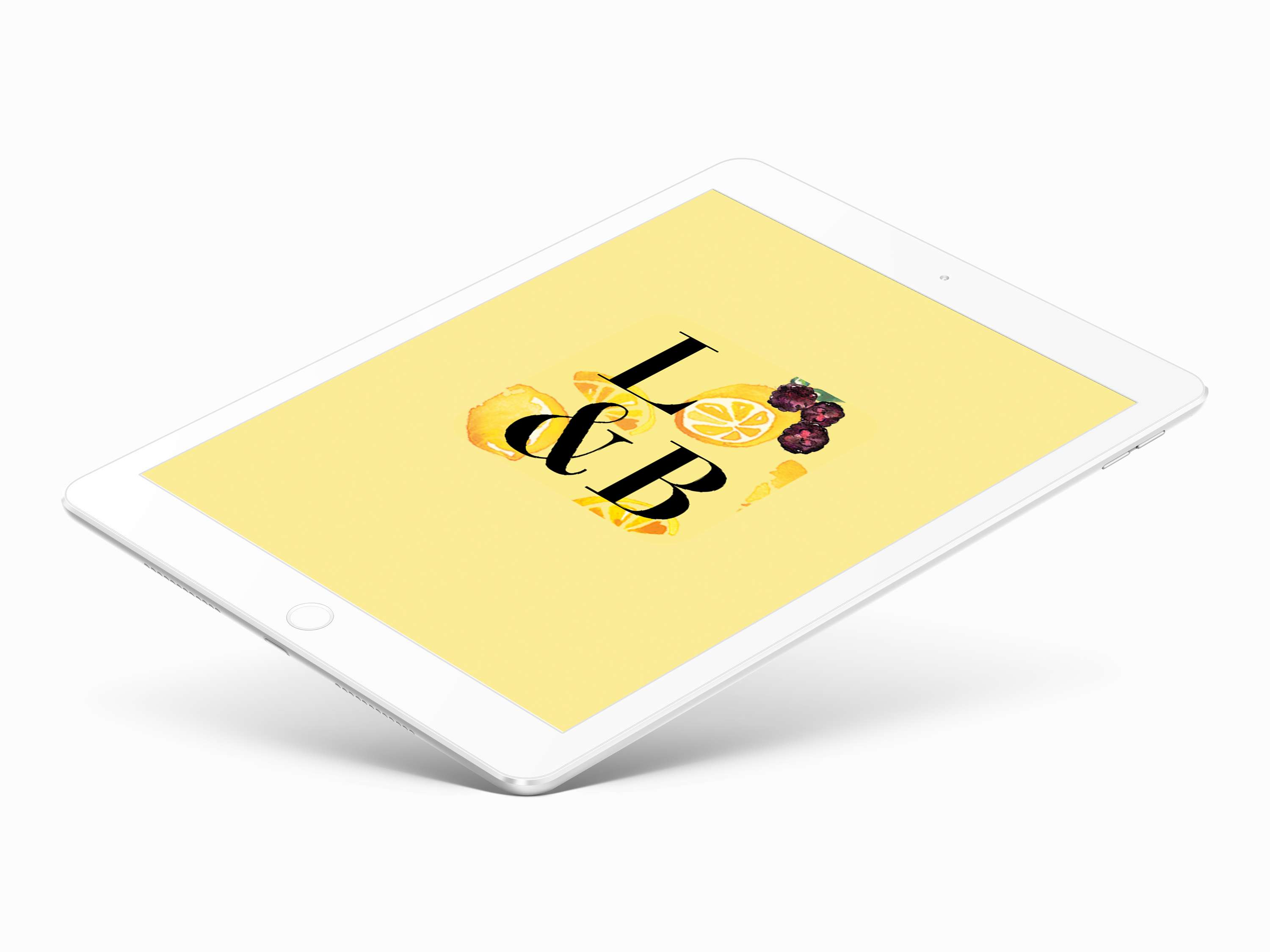 L&B Mixology App by Elena Scarratt