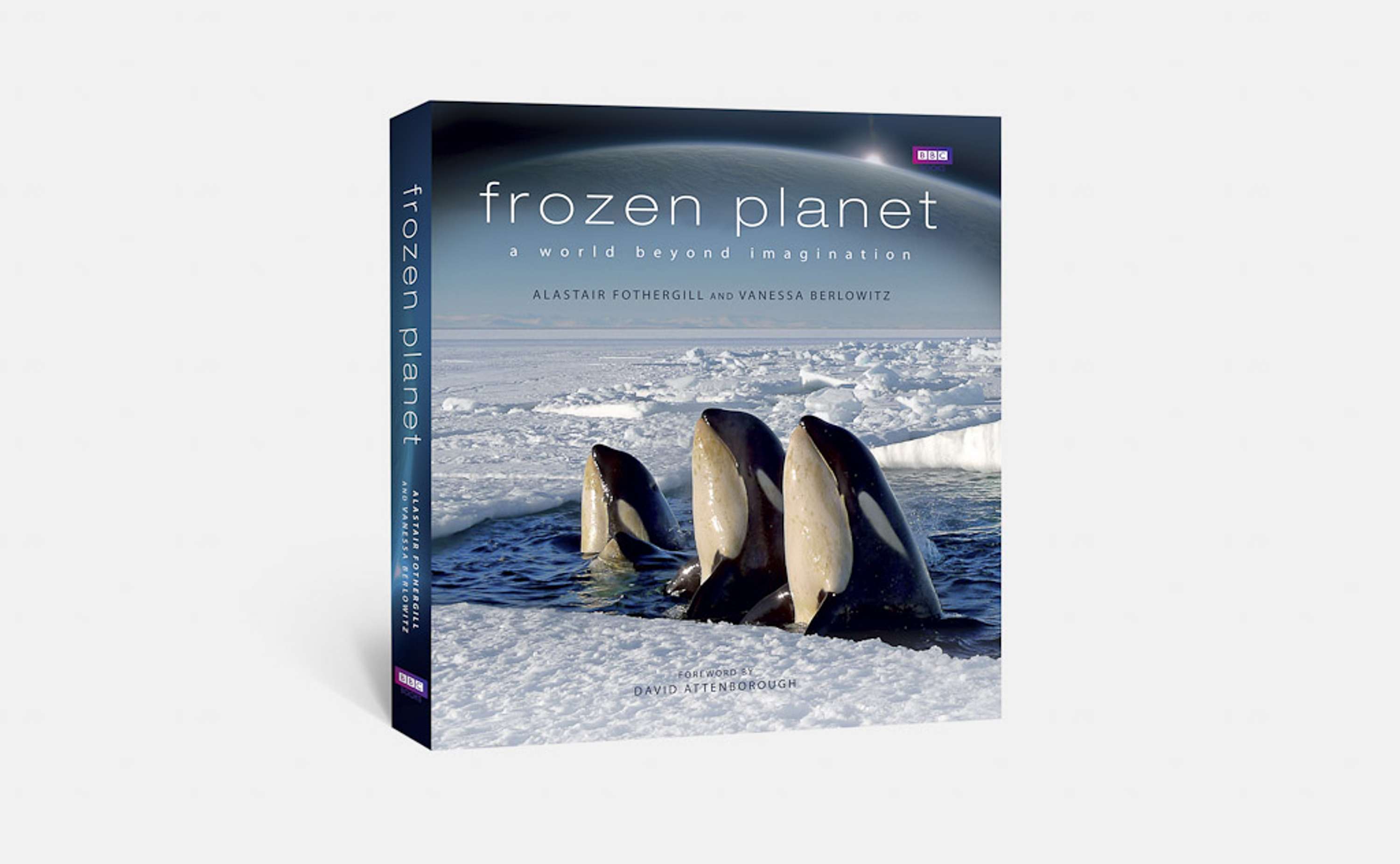FROZEN PLANET by David Brimble