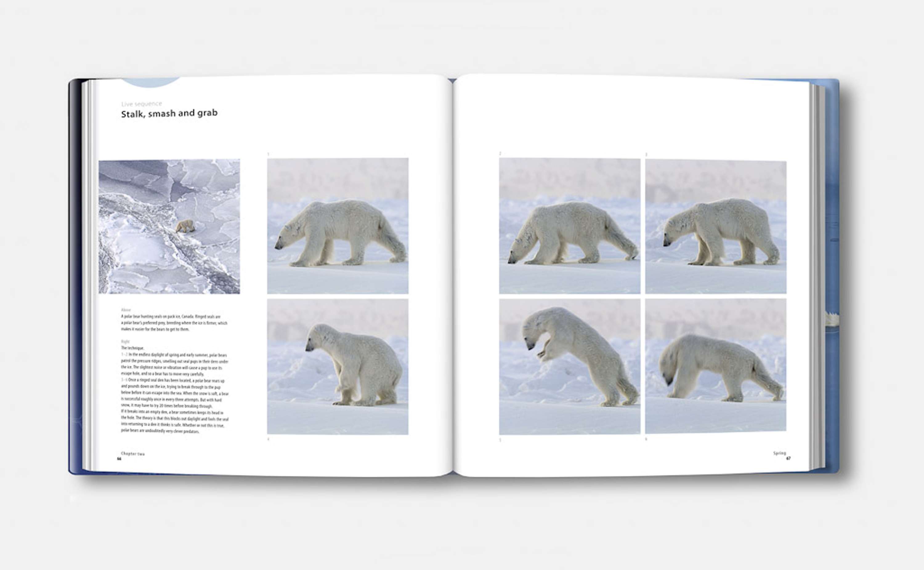 FROZEN PLANET by David Brimble