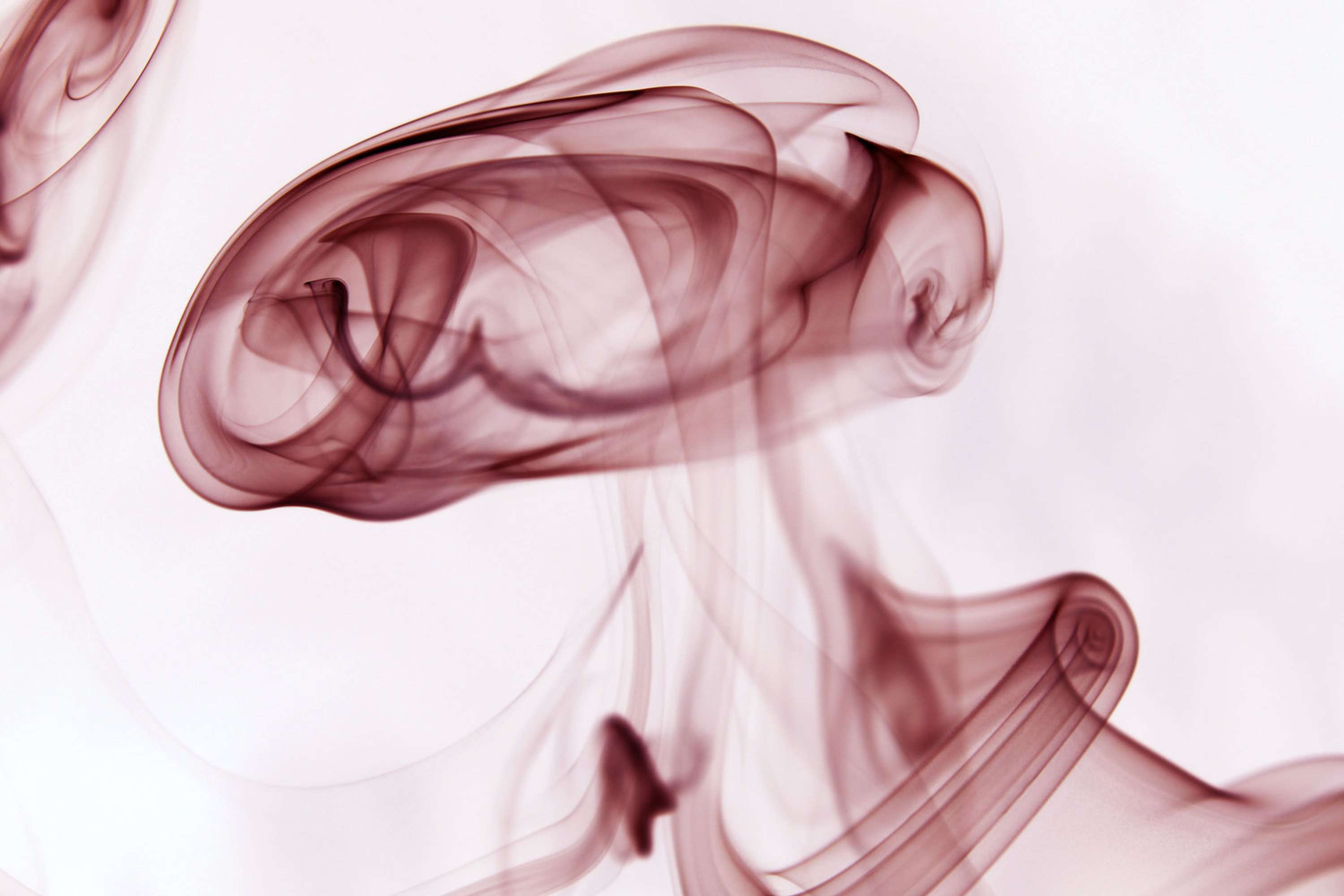Ephemeral by Nada Abughris