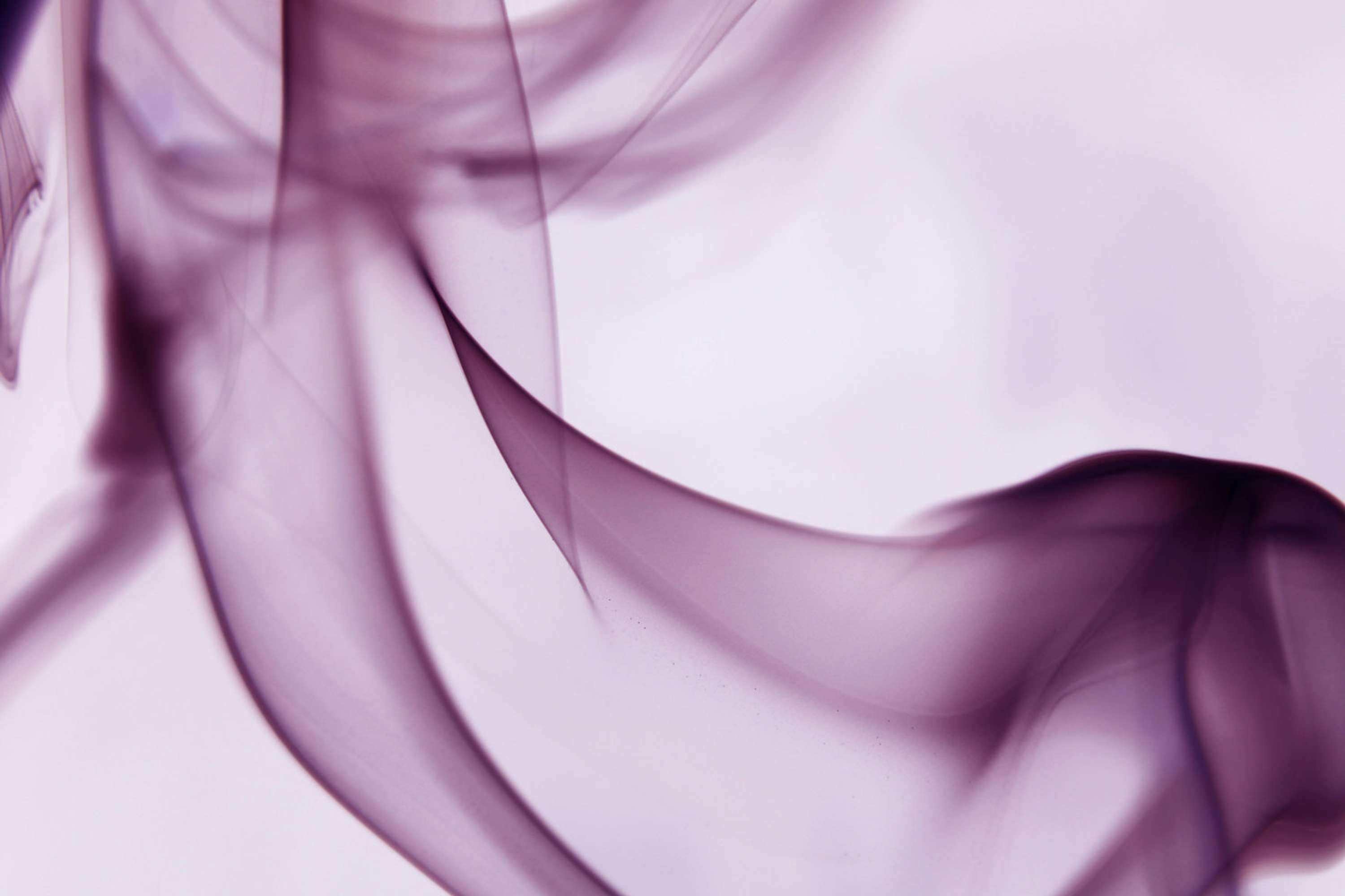 Ephemeral by Nada Abughris