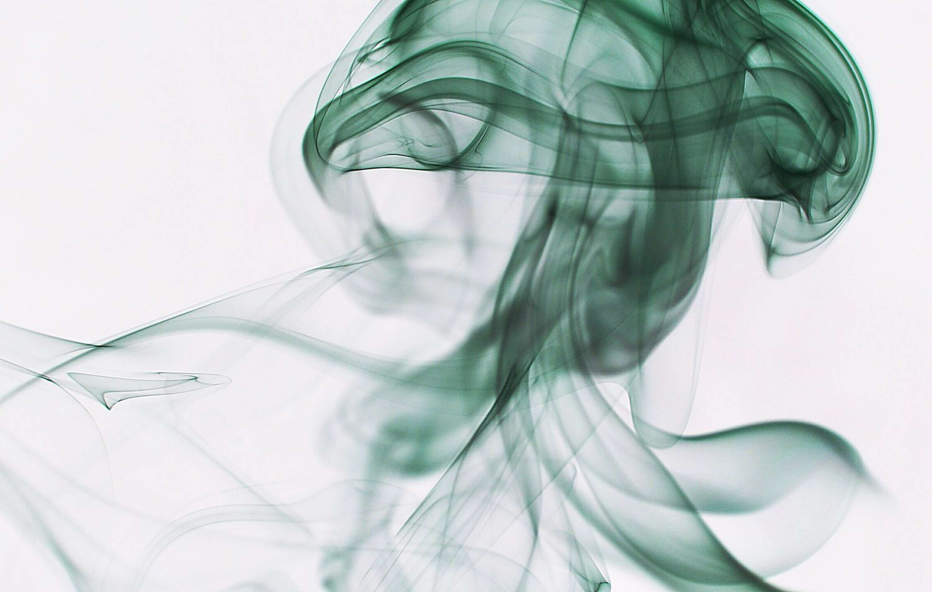 Ephemeral by Nada Abughris