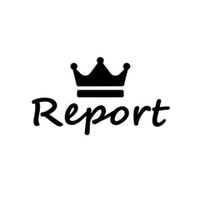 Report King logo
