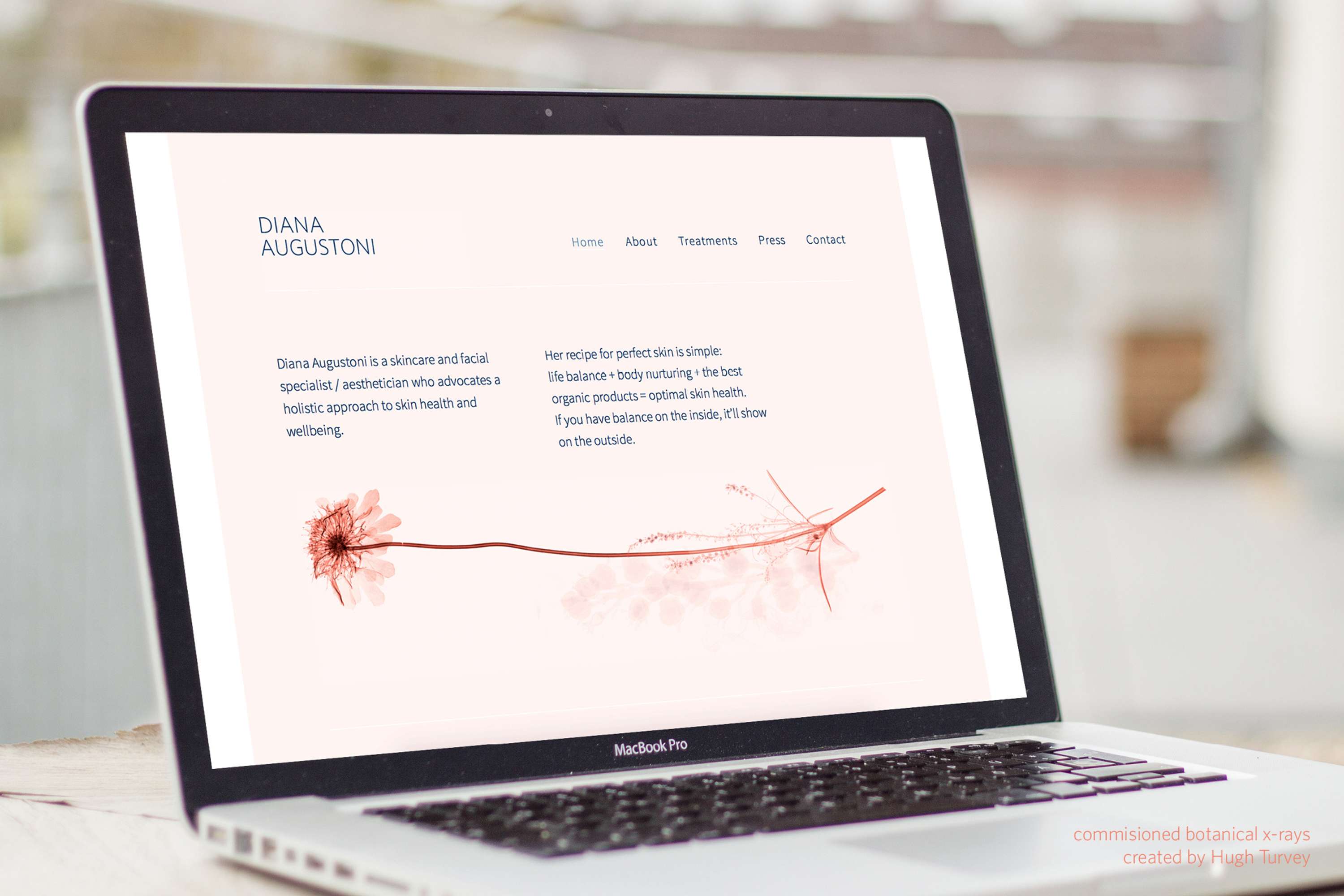 Diana Augustoni: Visual Identity - Design & Application by Lee Simmons