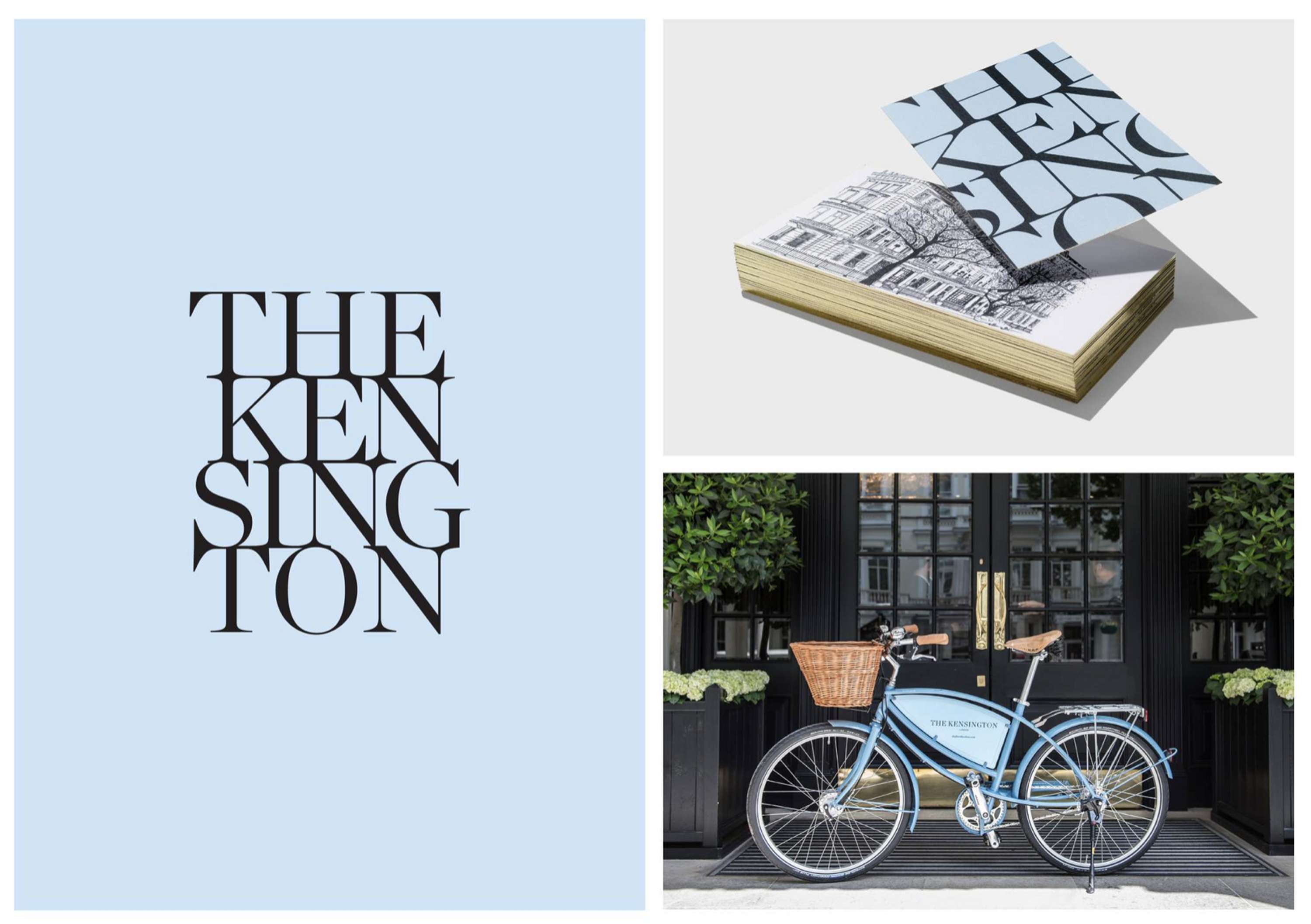 The Doyle Collection by Caroline King