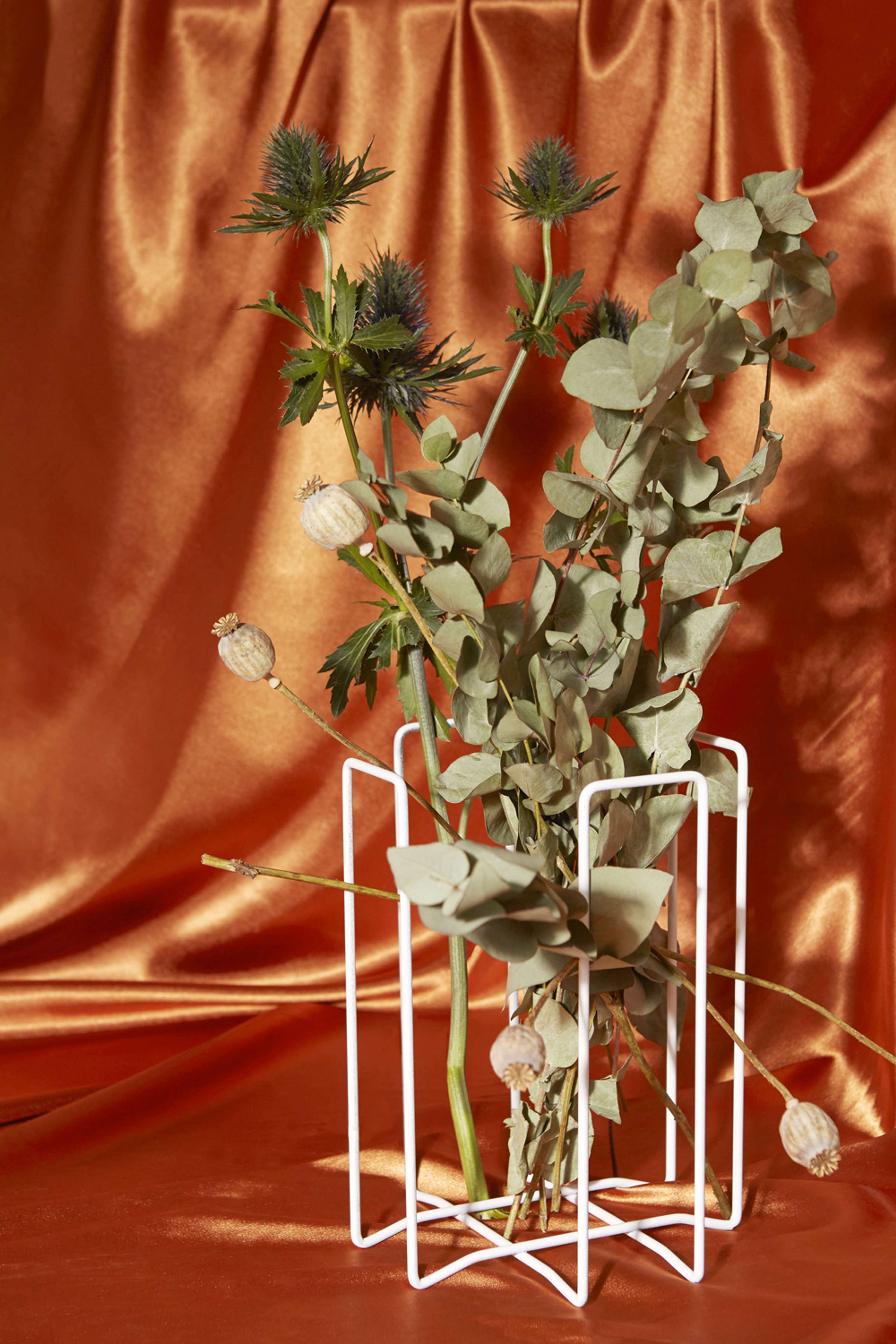 Deconstructing Collective Frustrations by Hannah Slaney