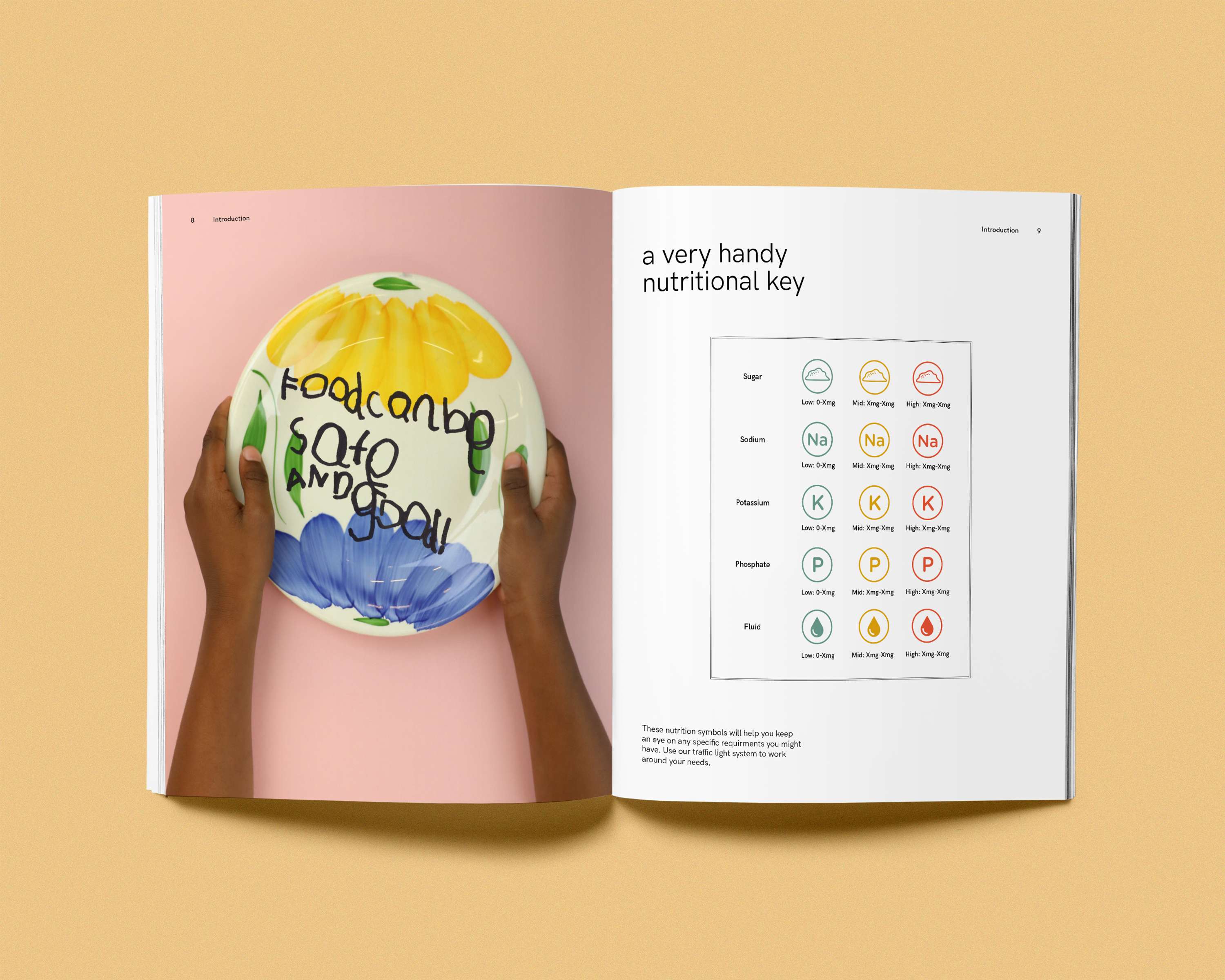 Tate Exchange: Designing for Dialysis by Romina Krosnyak