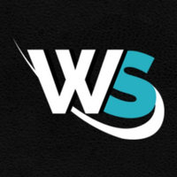 WordSuccor Ltd logo