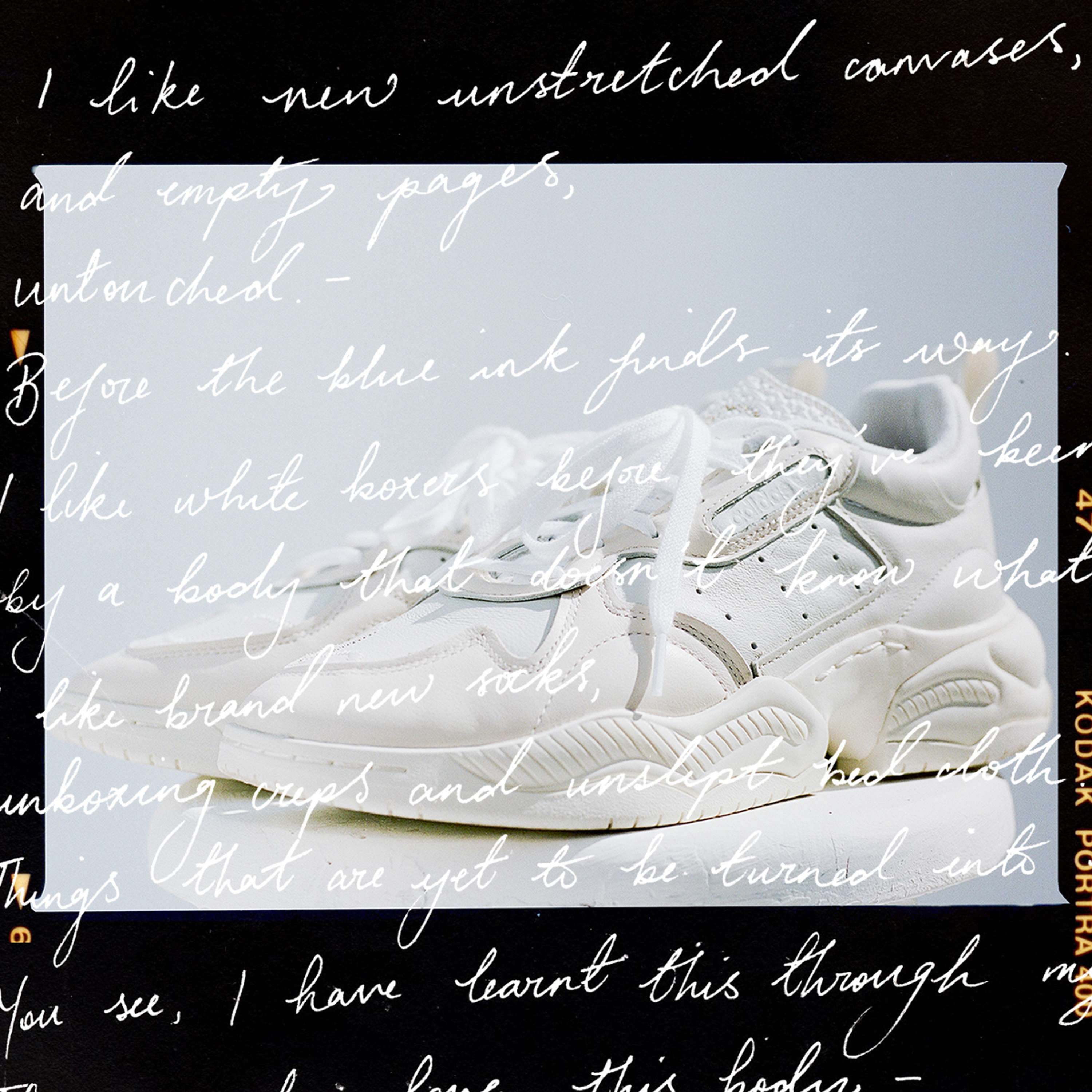 BLANK CANVASES + FINAL FORM by Stella Gelardi Malfilâtre