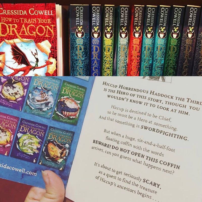 How to Train Your Dragon new series' blurbs by SARAH TOPPING