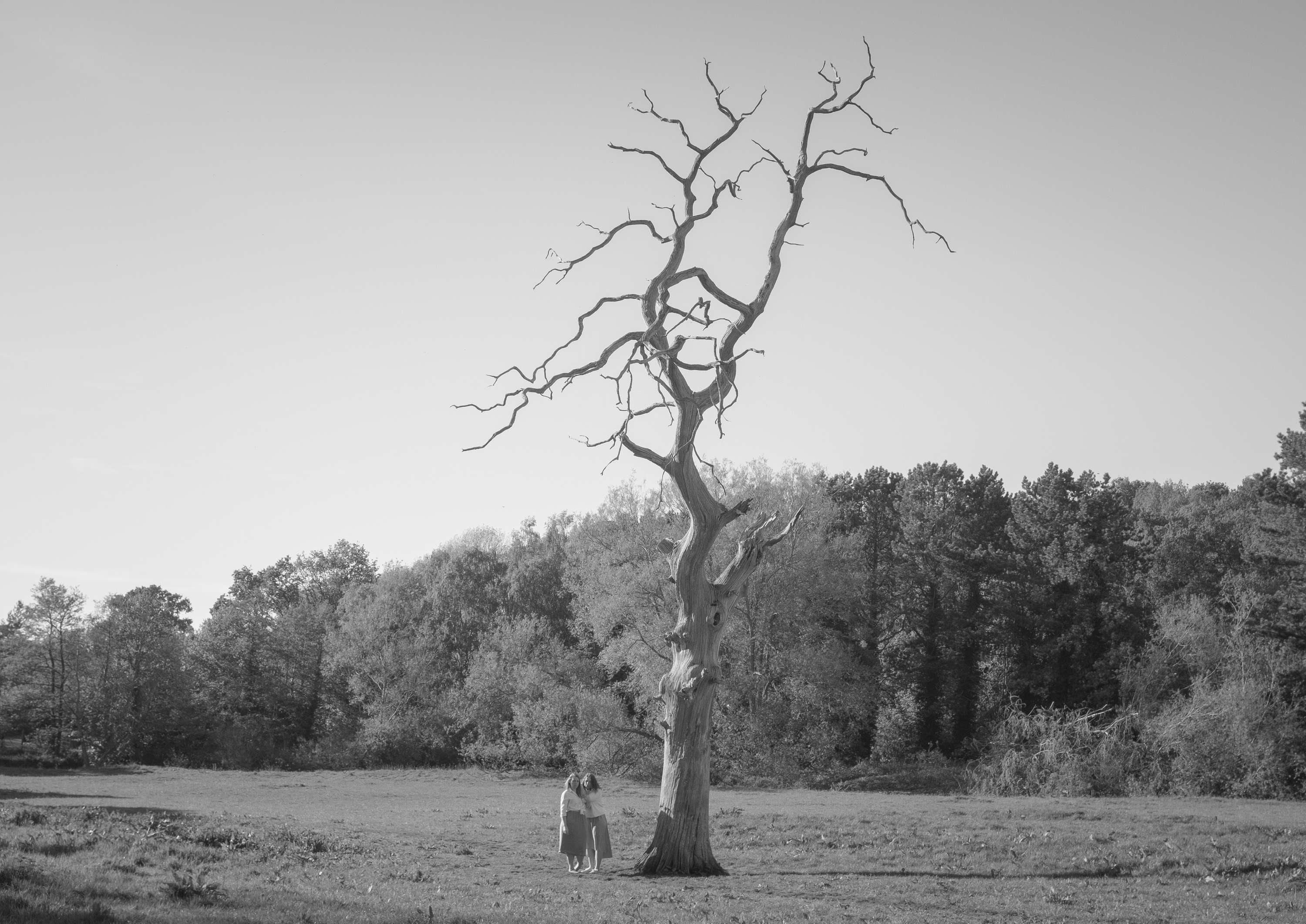 Siblings by Simon Bray