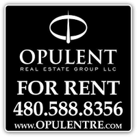 Opulent Real Estate Group logo