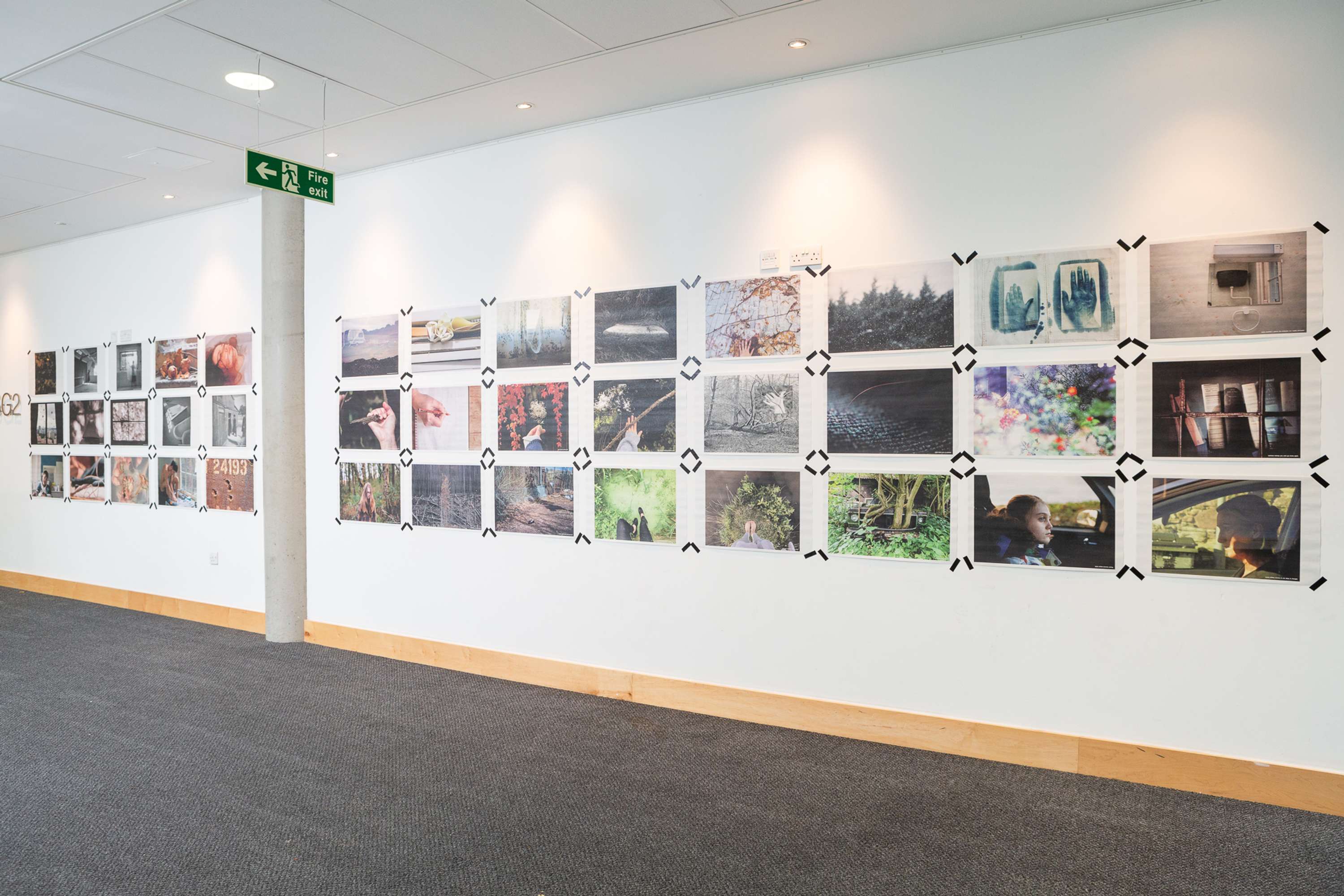 Shutter Hub Exhibition: Everything I Ever Learnt at The University of Cambridge by Jayne Lloyd