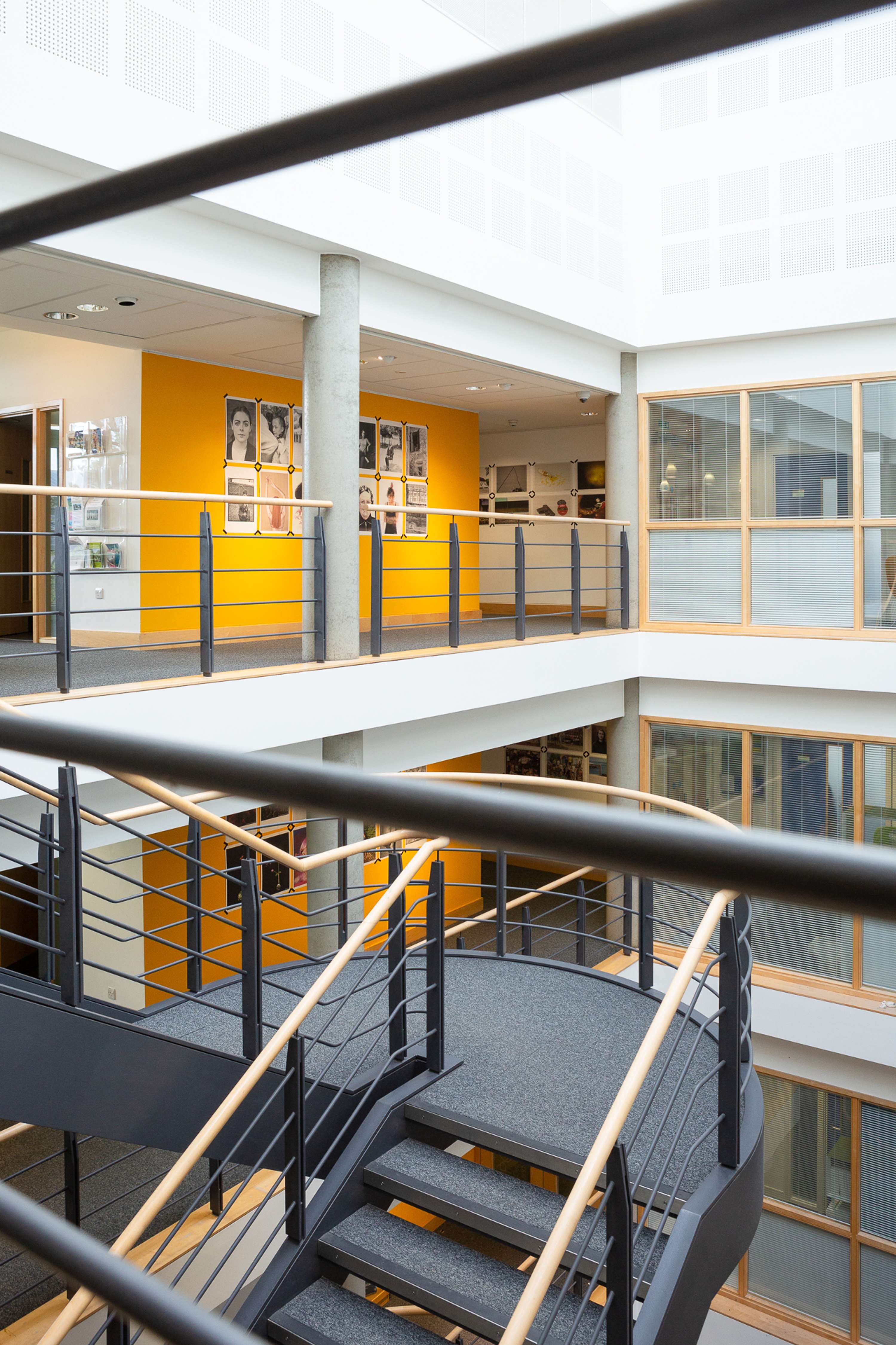 Shutter Hub Exhibition: Everything I Ever Learnt at The University of Cambridge by Jayne Lloyd
