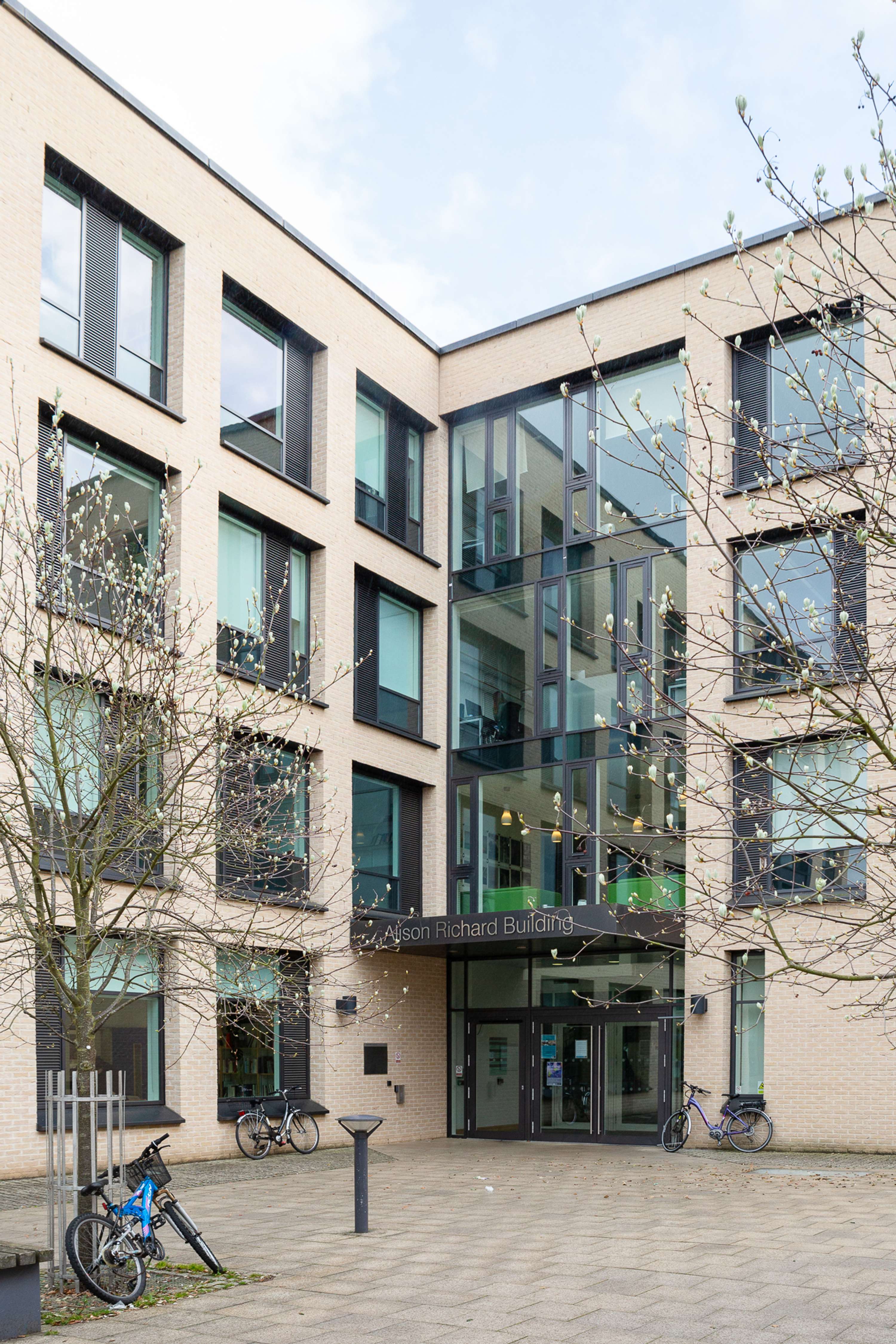 Shutter Hub Exhibition: Everything I Ever Learnt at The University of Cambridge by Jayne Lloyd