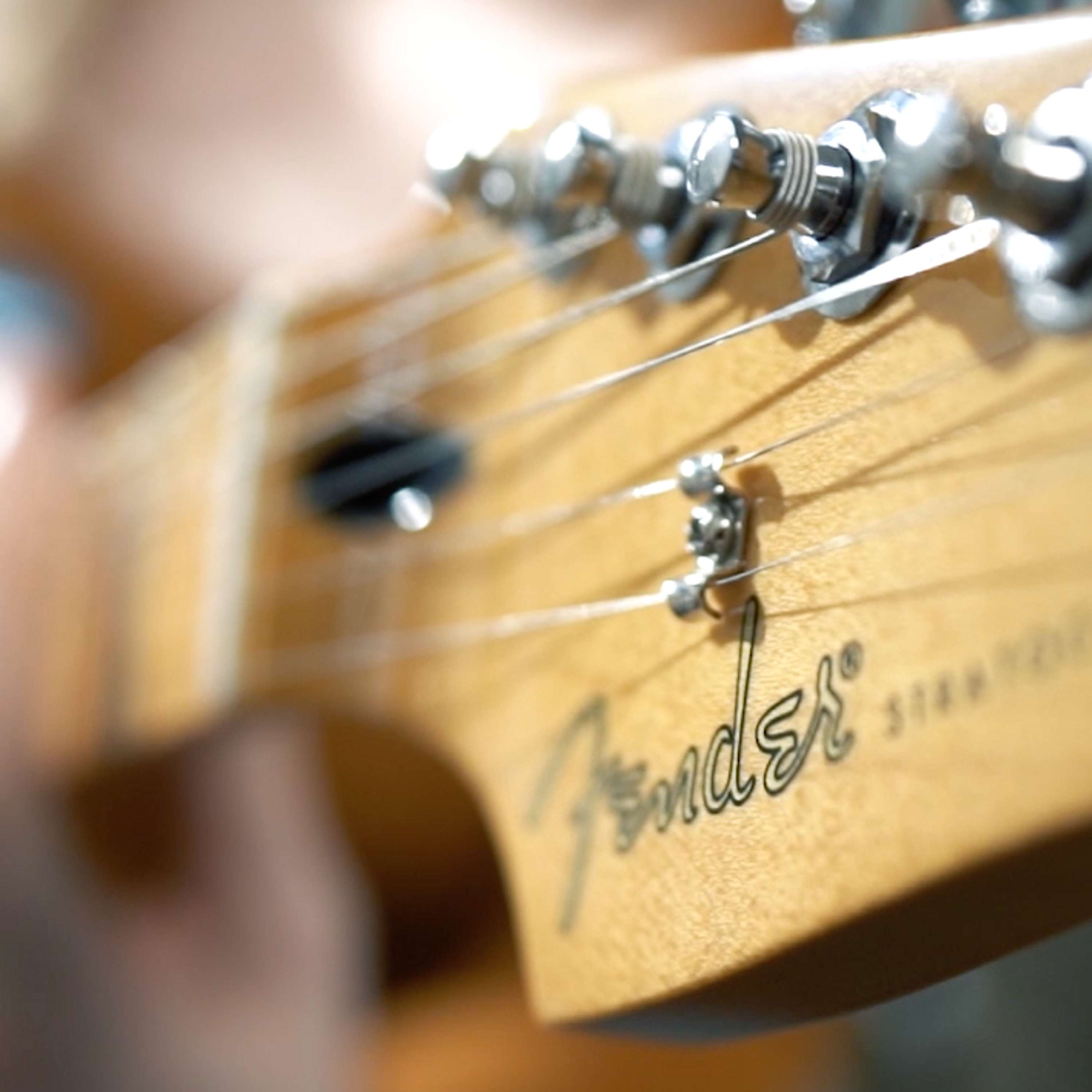 Fender - The player series by Natalia Barbican