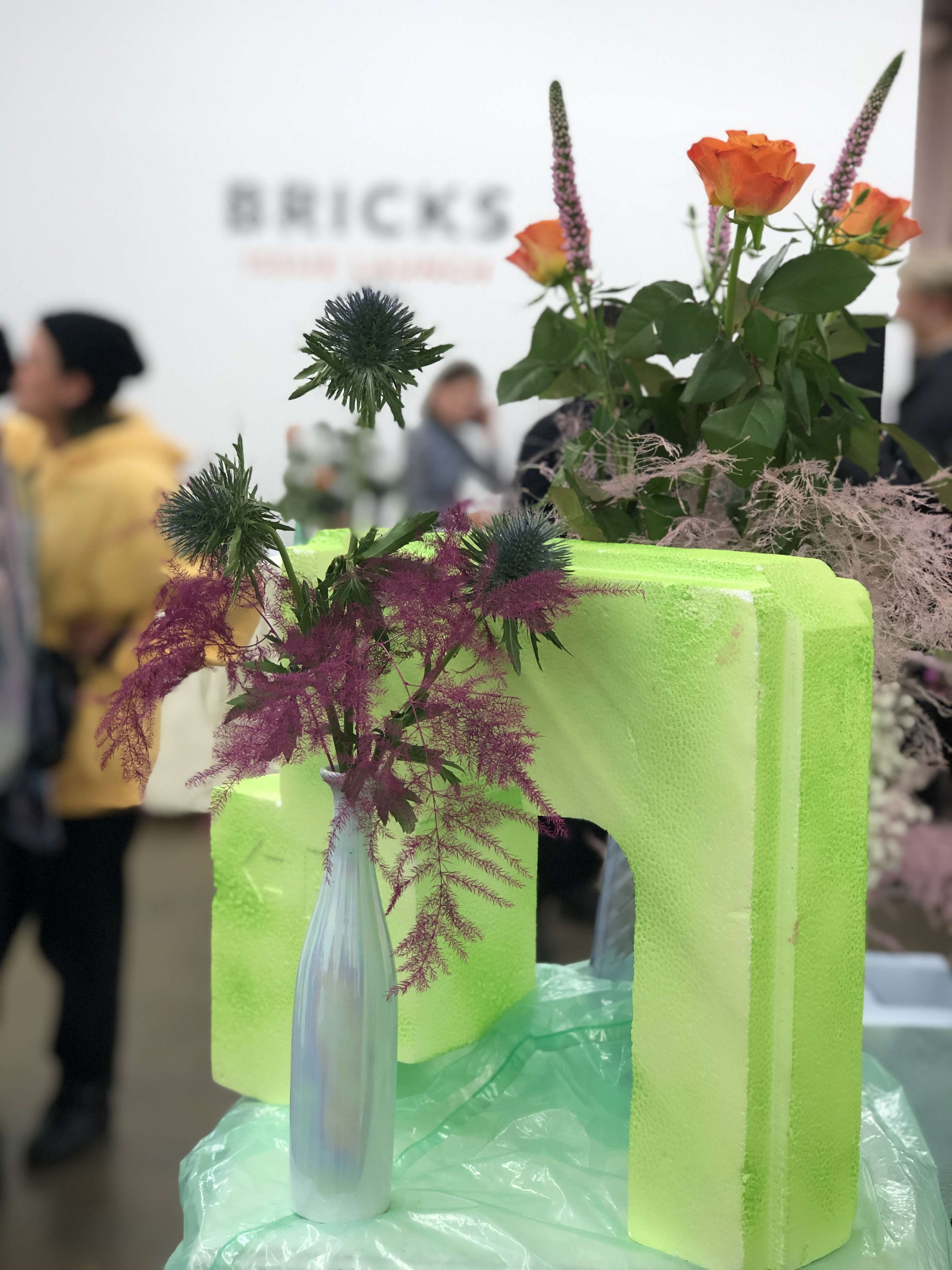 BRICKS Issue Launch by Robin McGonigle