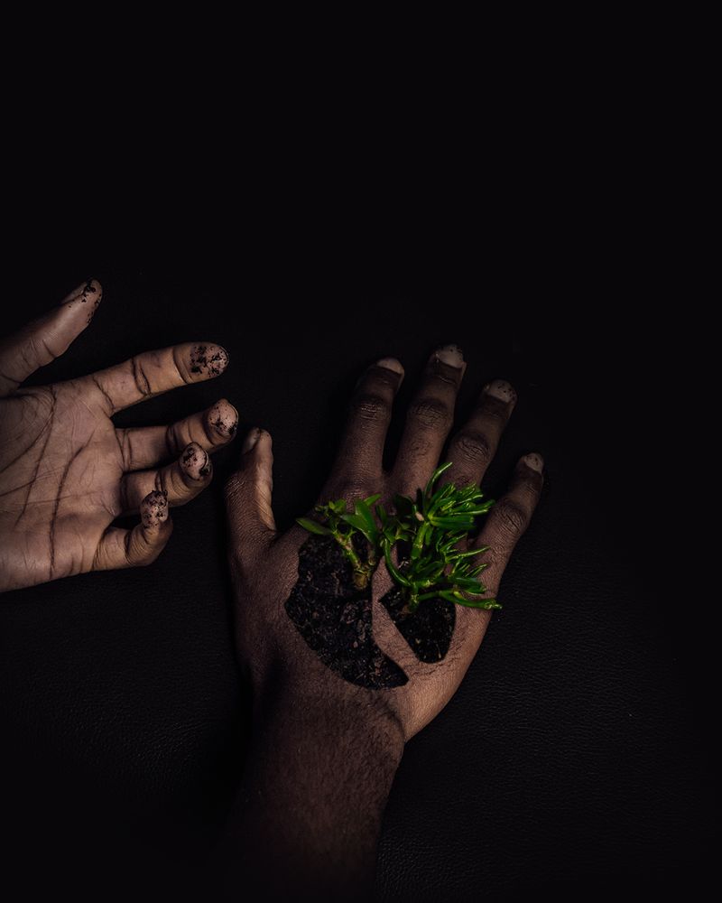 The Garden (2019) by Michael Akuagwu