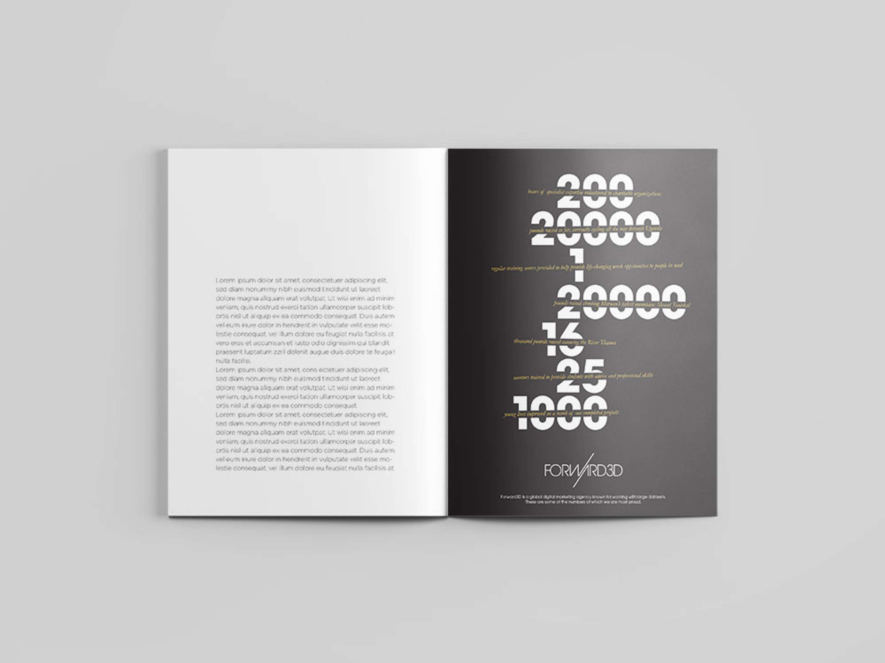 Forward3D: Identity & Collateral by Emilio Vanni