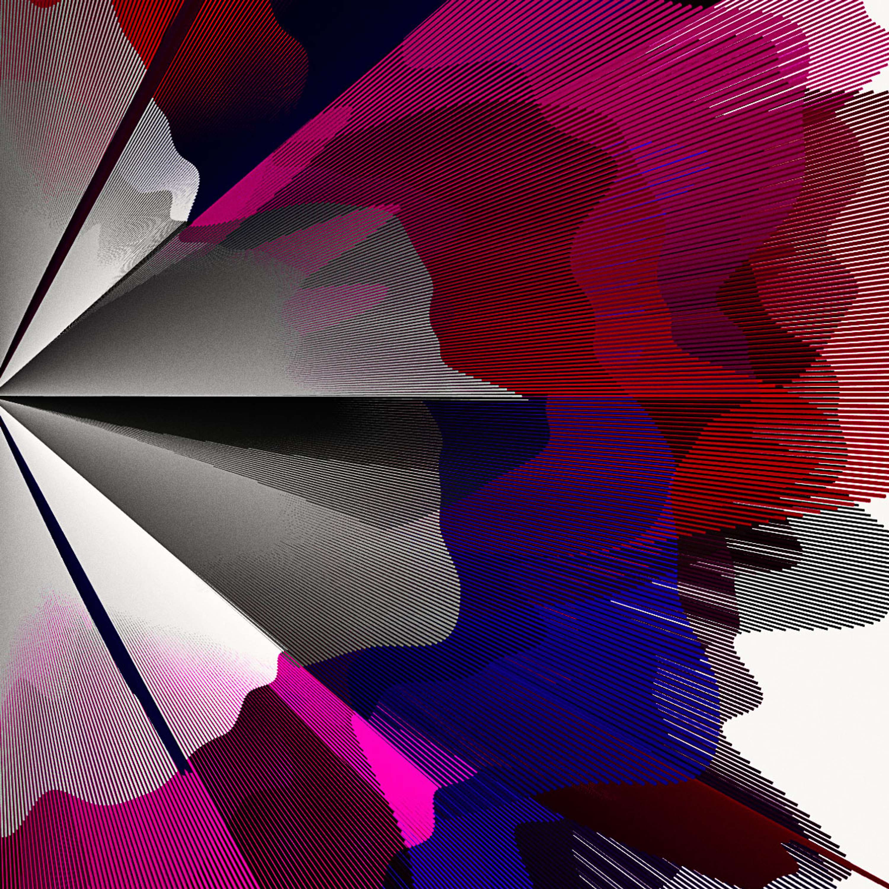 Lotus Flower (Generative Art) by Fabio Catapano