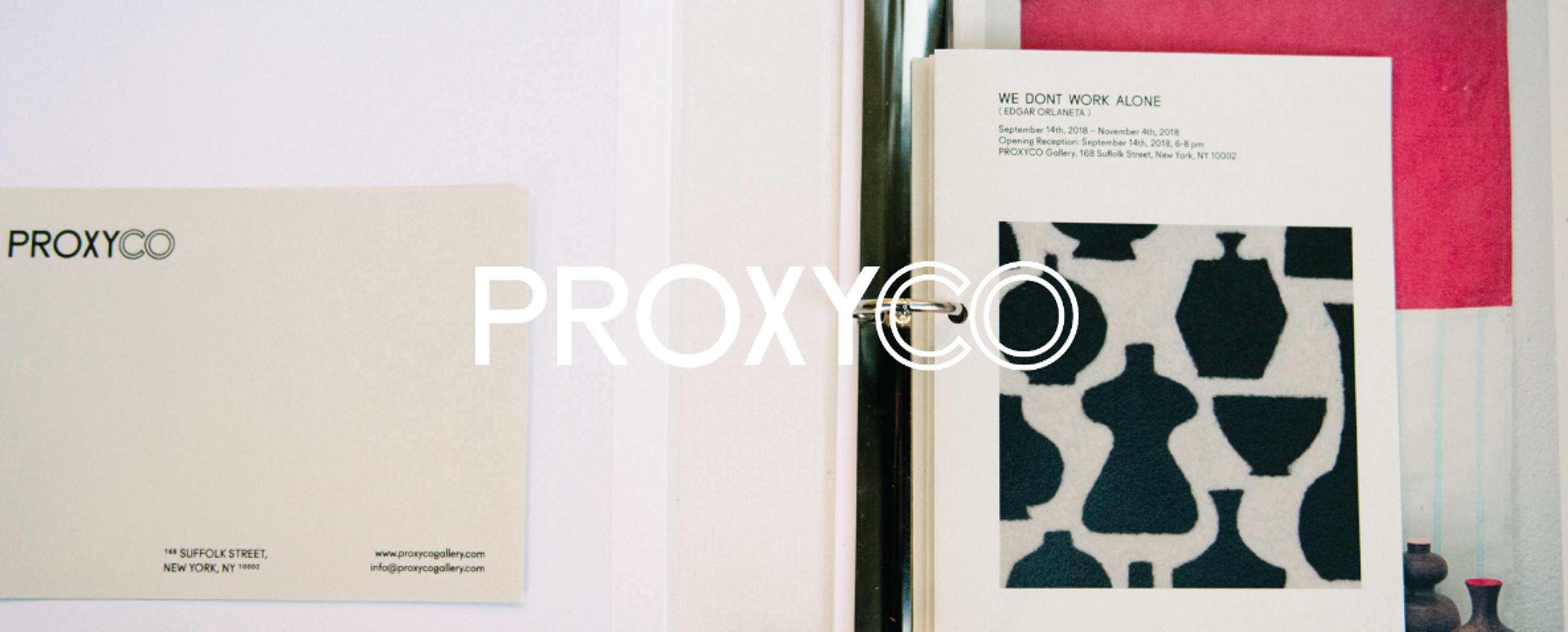 ProxyCo Gallery by Annette Lin