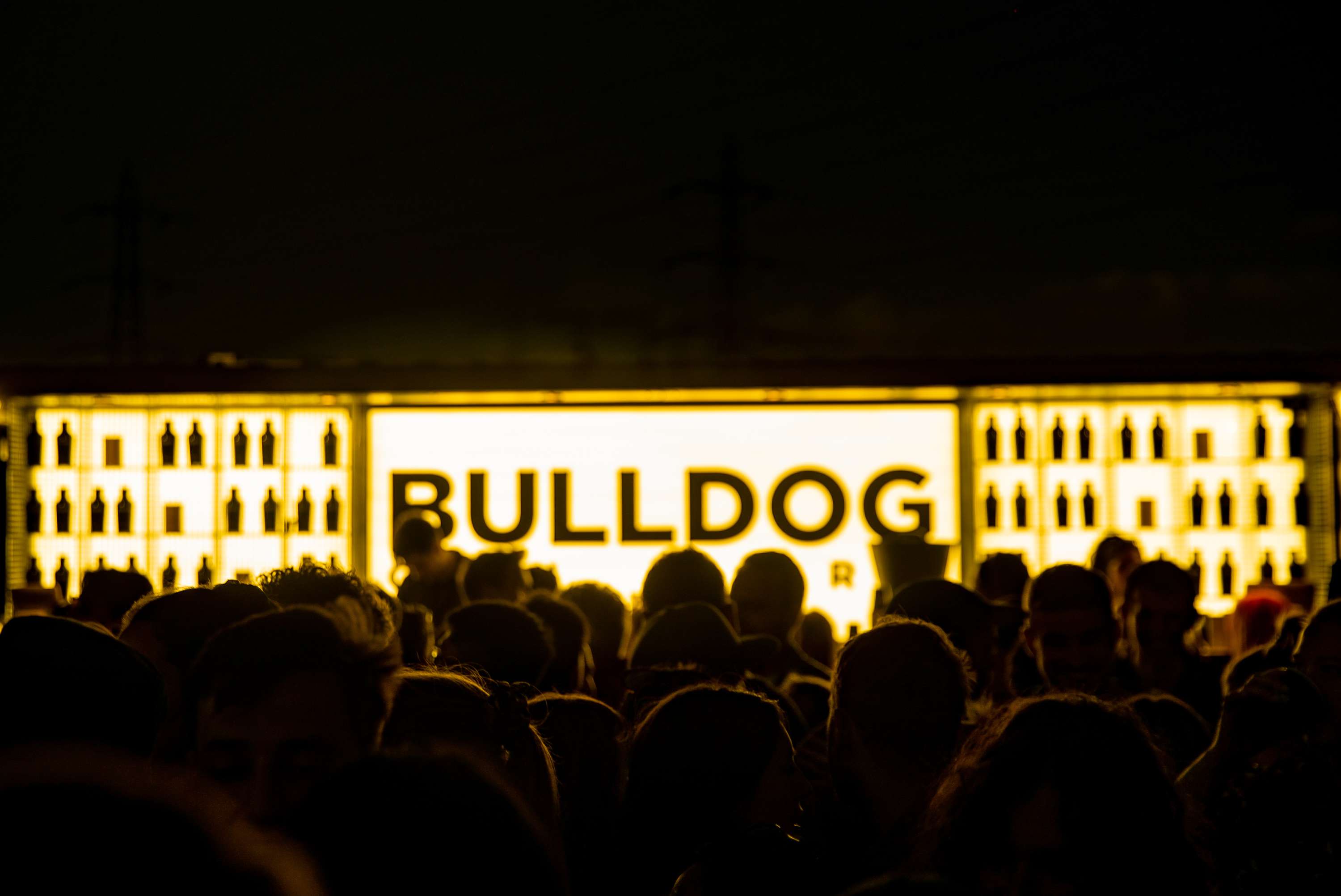 Lucid @ Field Day by James Ward