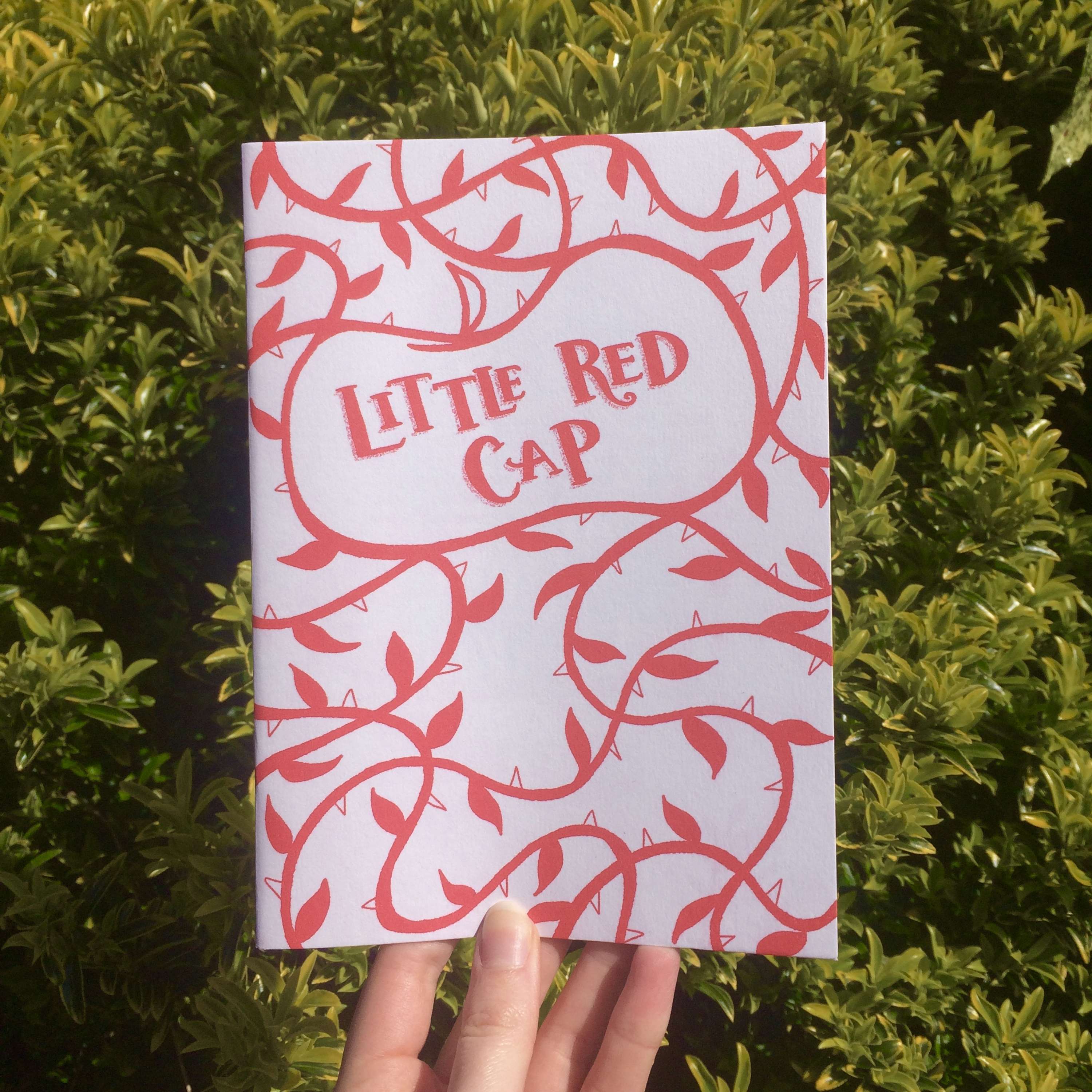 Collaboration Work - Zine 'Little Red Cap' | The
