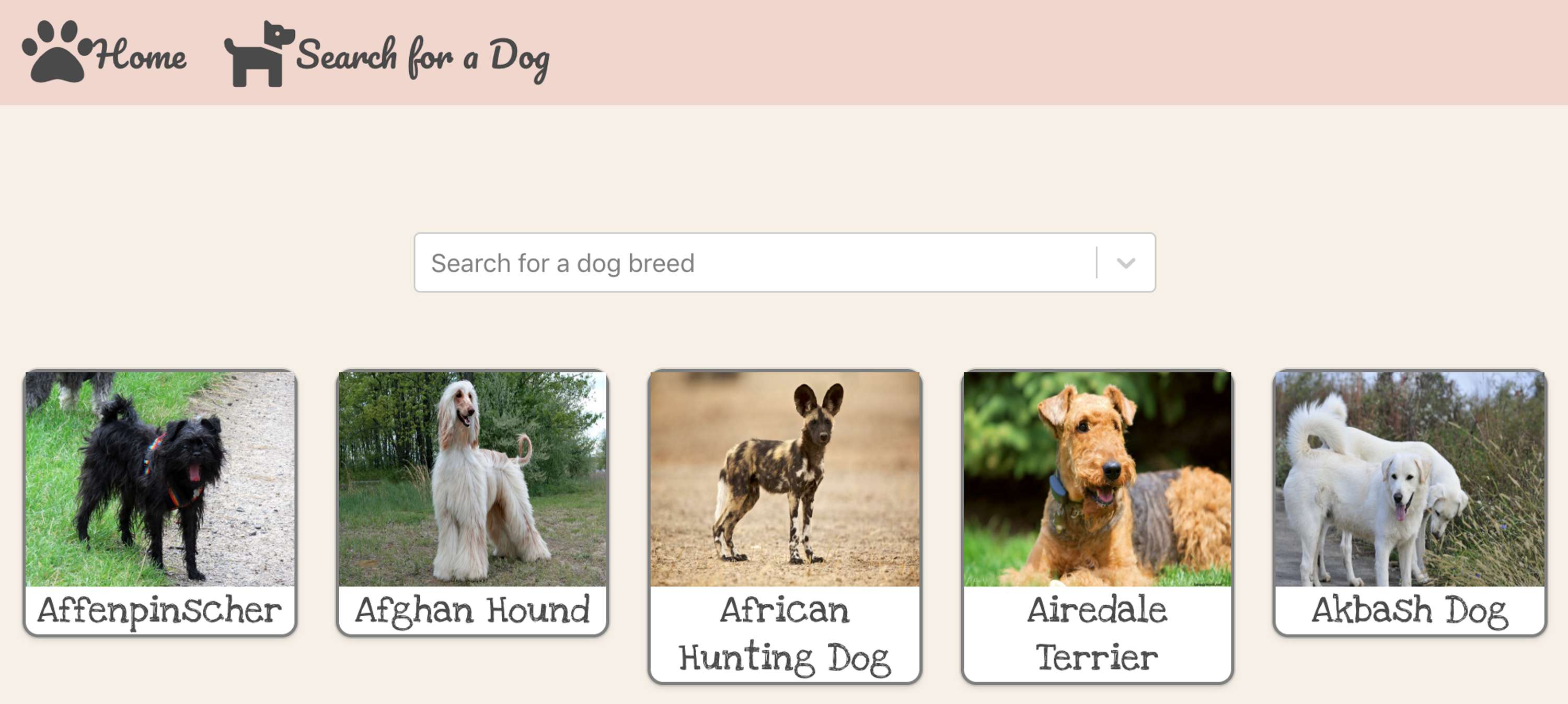 Woof Woof Dog Page – 1-day project – Paired project challenge by Valeria Bocanegra