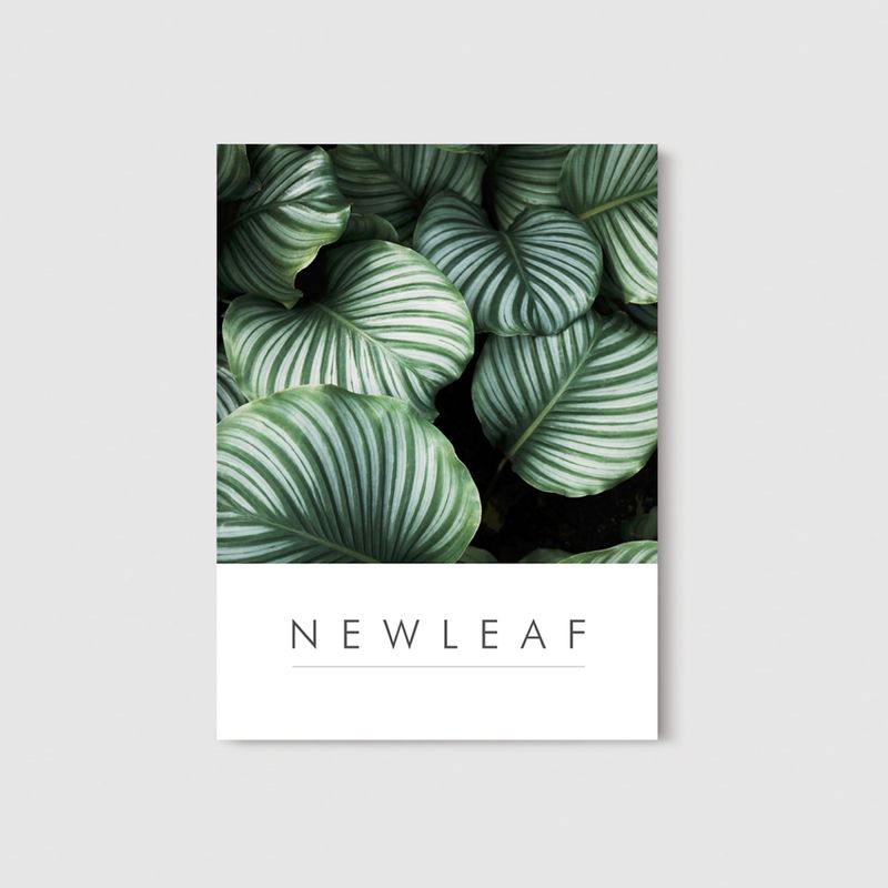 NEW LEAF by Ragda Elhag