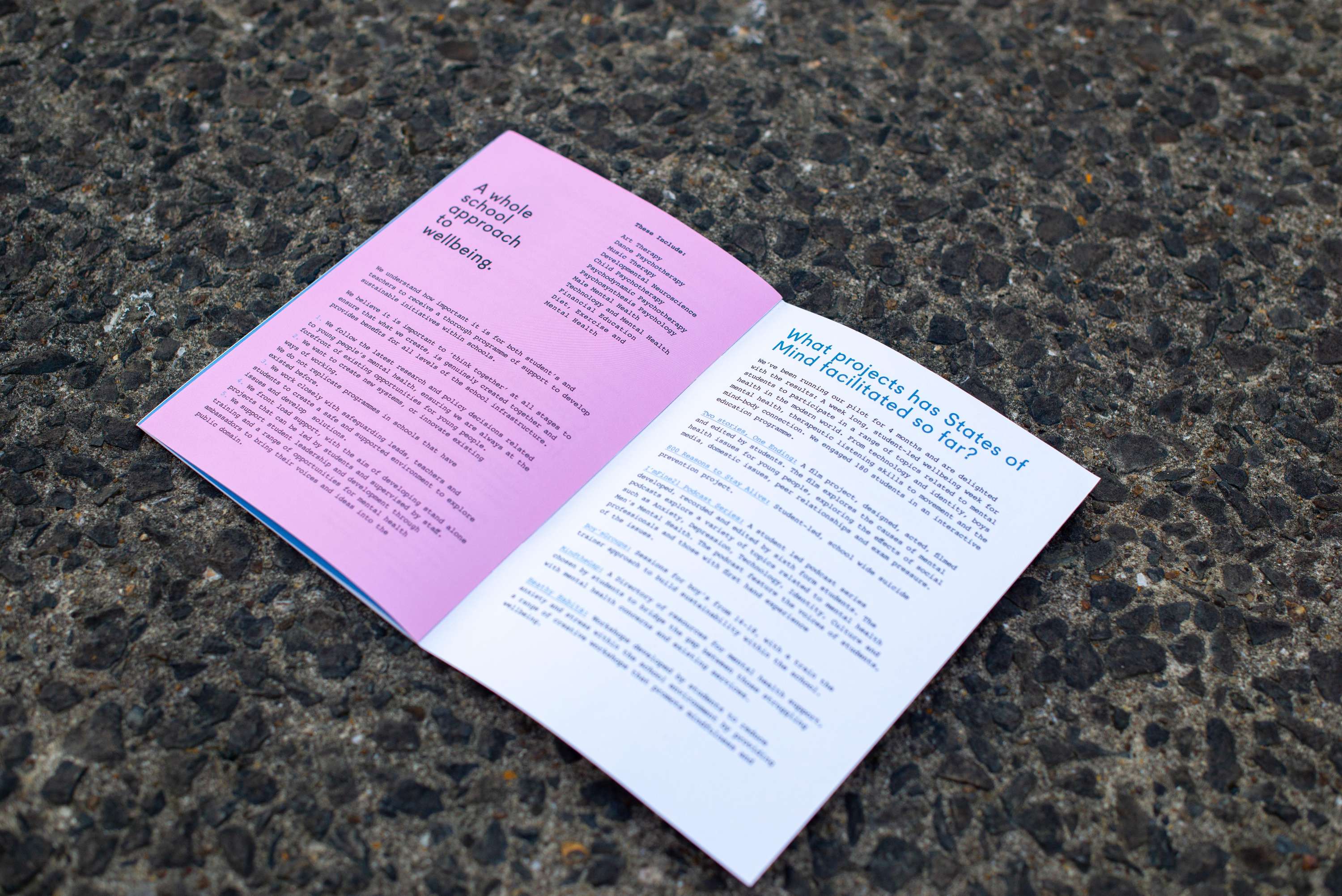 Branding and Editorial Design for States of Mind by Estefania Panizza