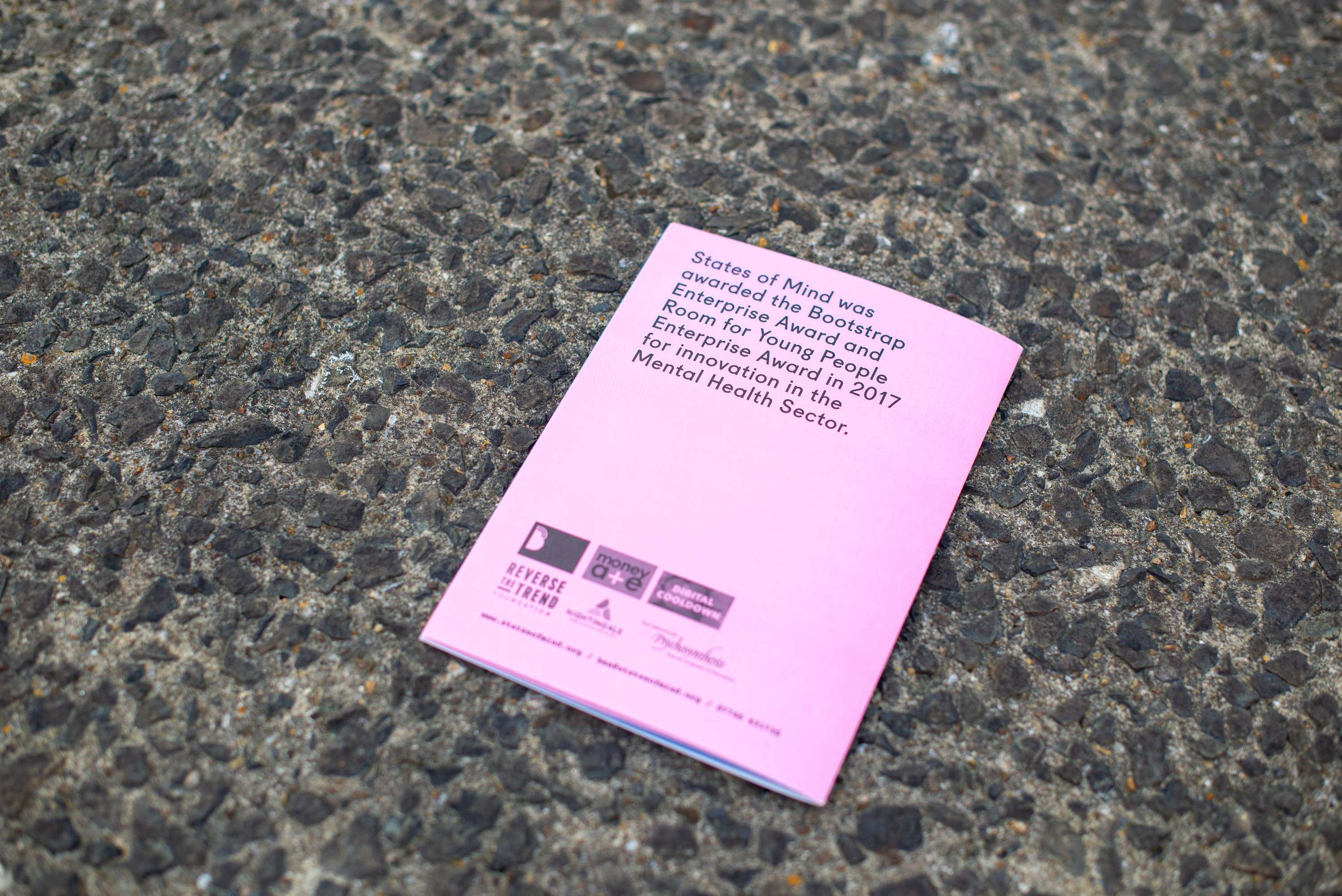 Branding and Editorial Design for States of Mind by Estefania Panizza