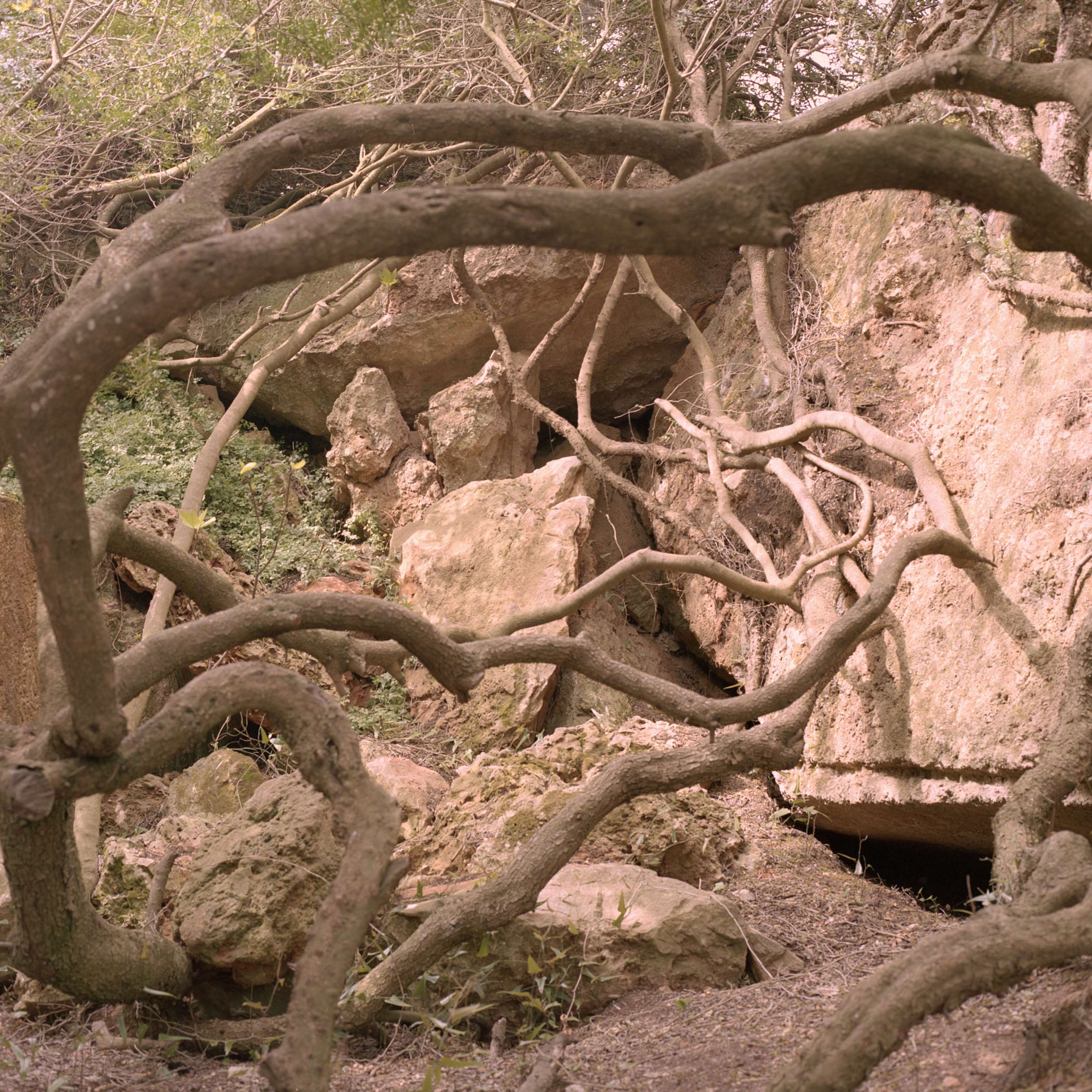 Lithica by Christopher Ower-Davis