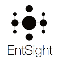 EntSight logo
