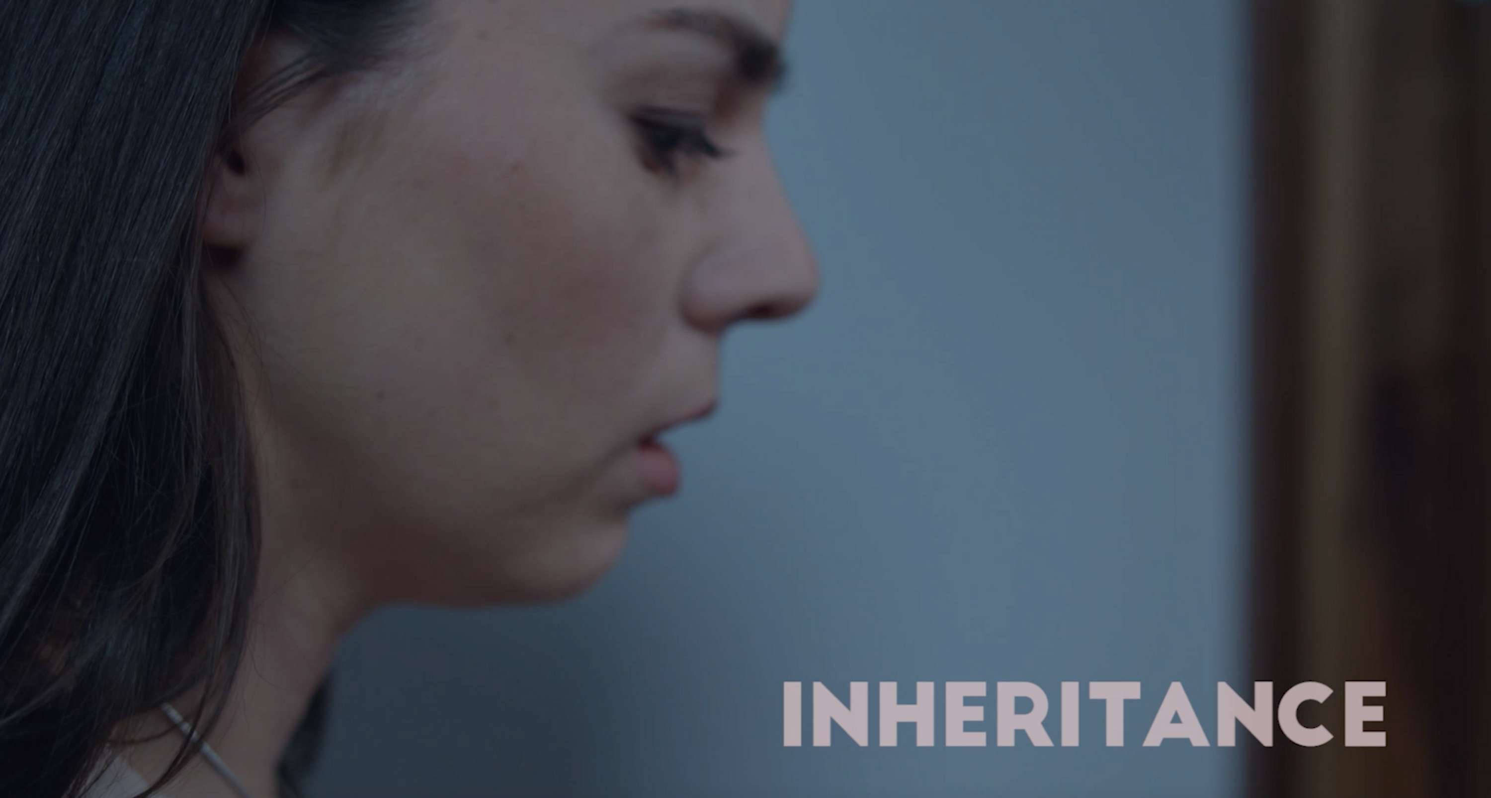Inheritance by Lauren Barnett