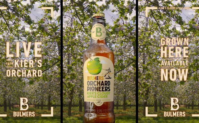 Bulmers : Orchard Pioneers by Alan Pourghobad