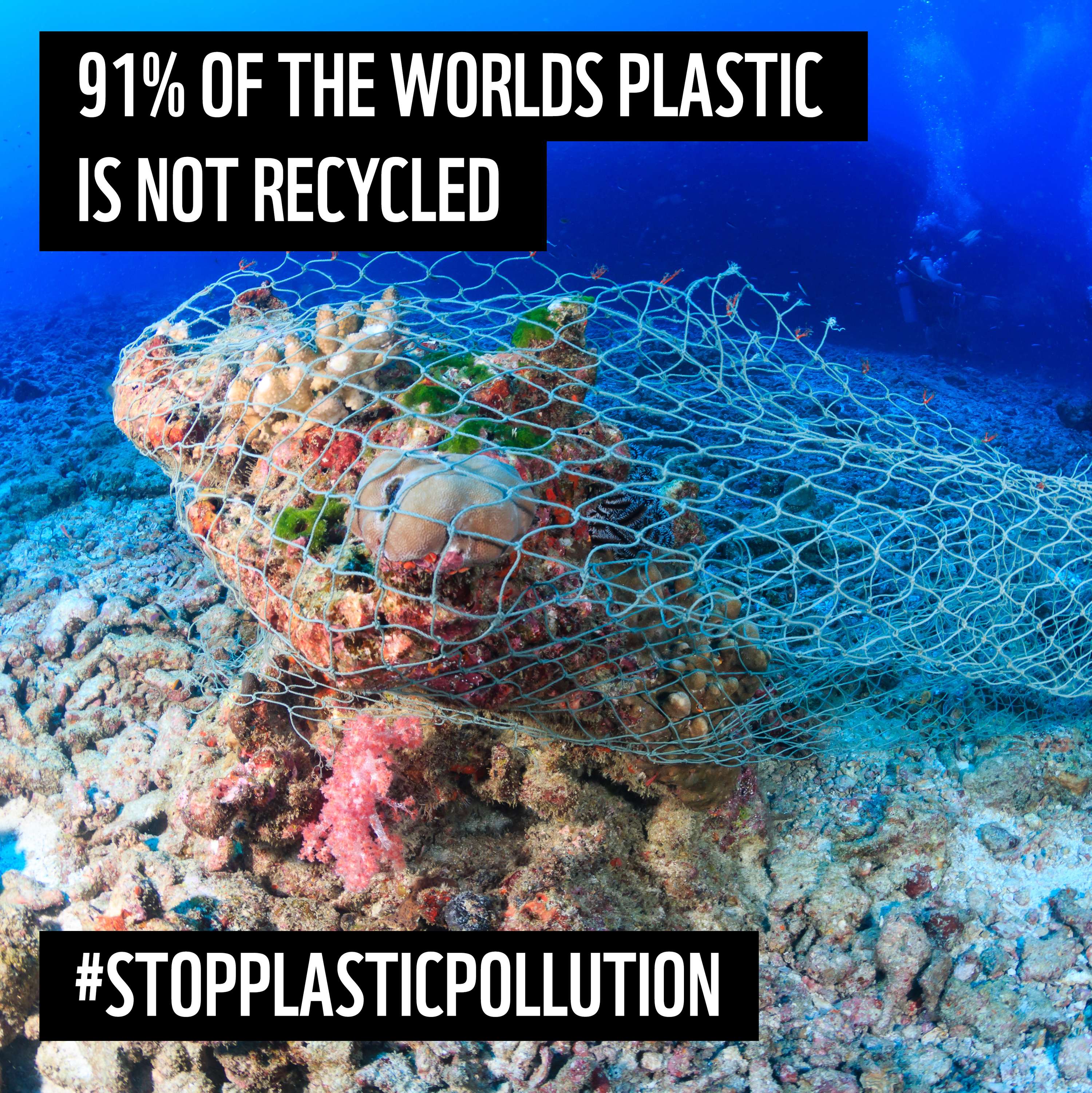 Interview Design Assignment: WWF Plastic Polution by Katelynn Lowther
