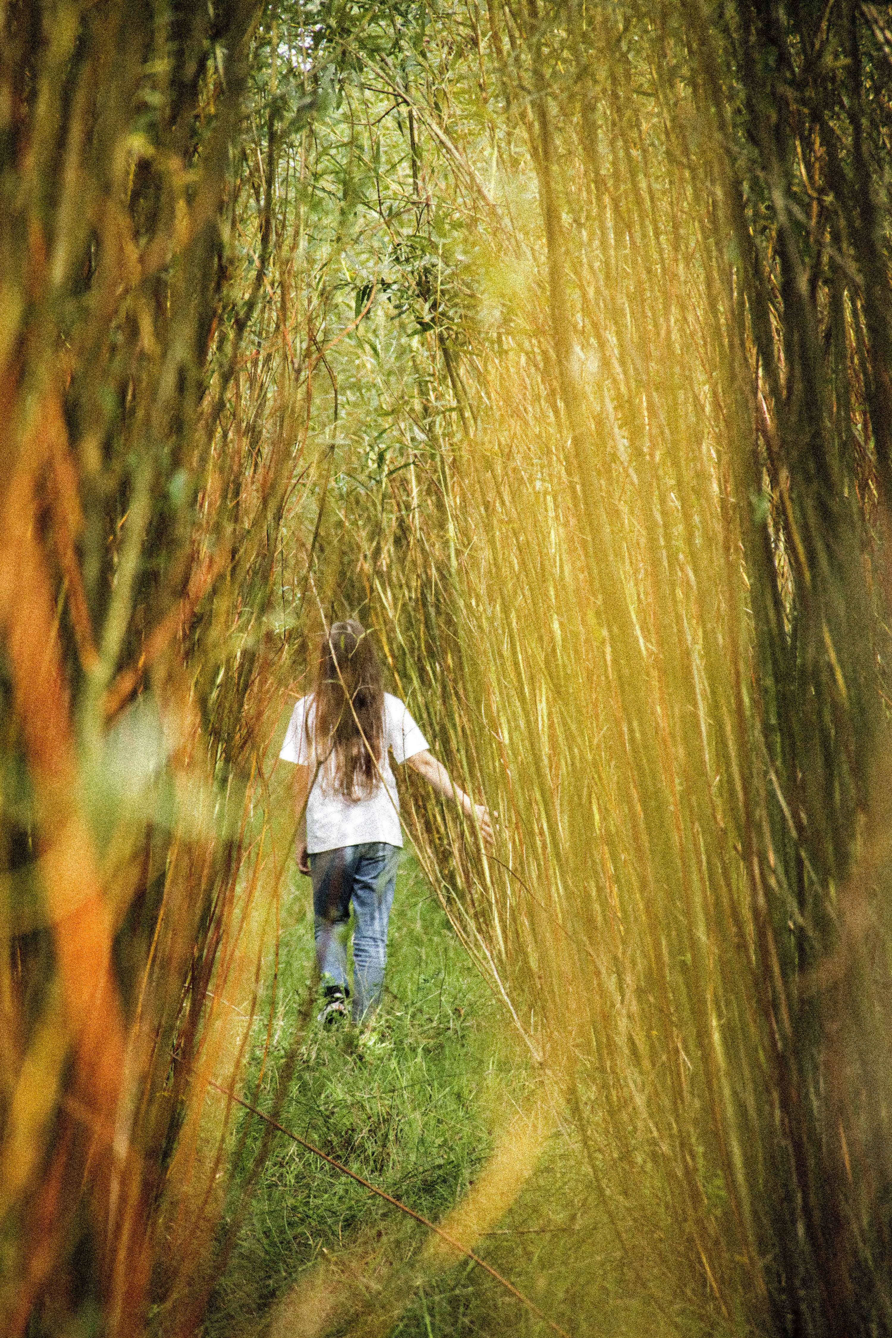 Experimental Photography Project by Amy Reid