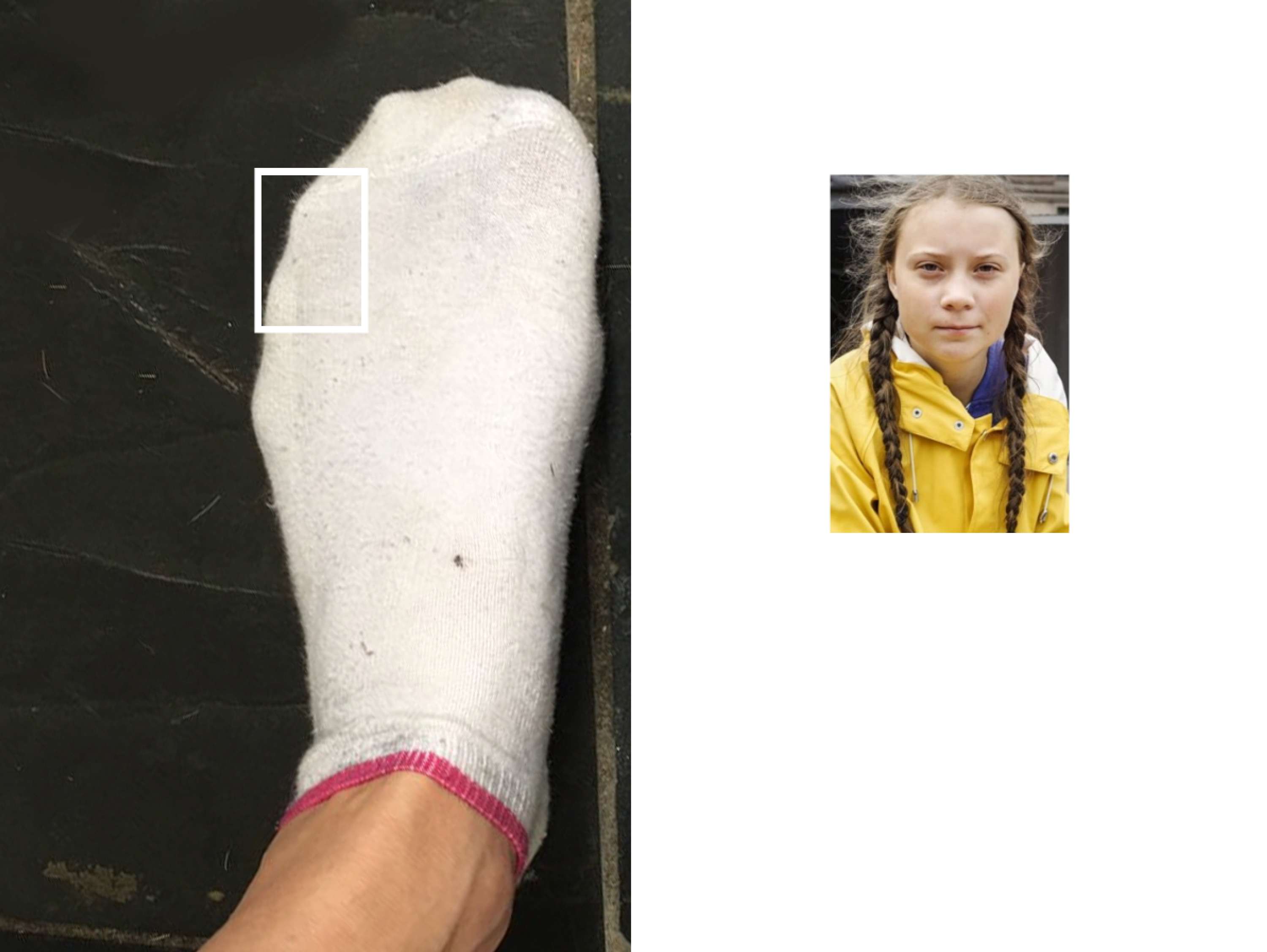 LIL' TOE - Little Theory of Everything by Frank Krugmann