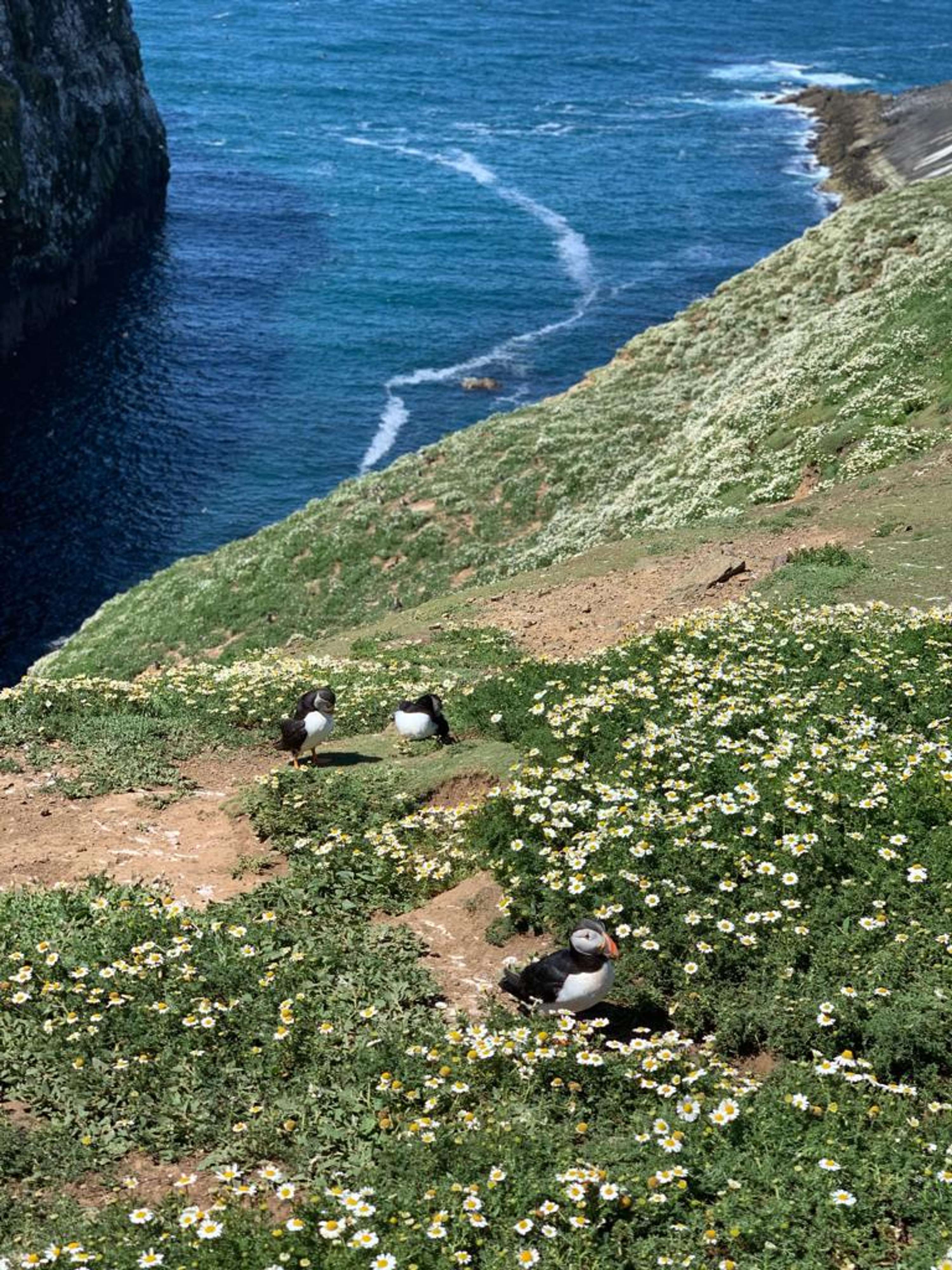 National Geographic Explorers by Anna Sabti