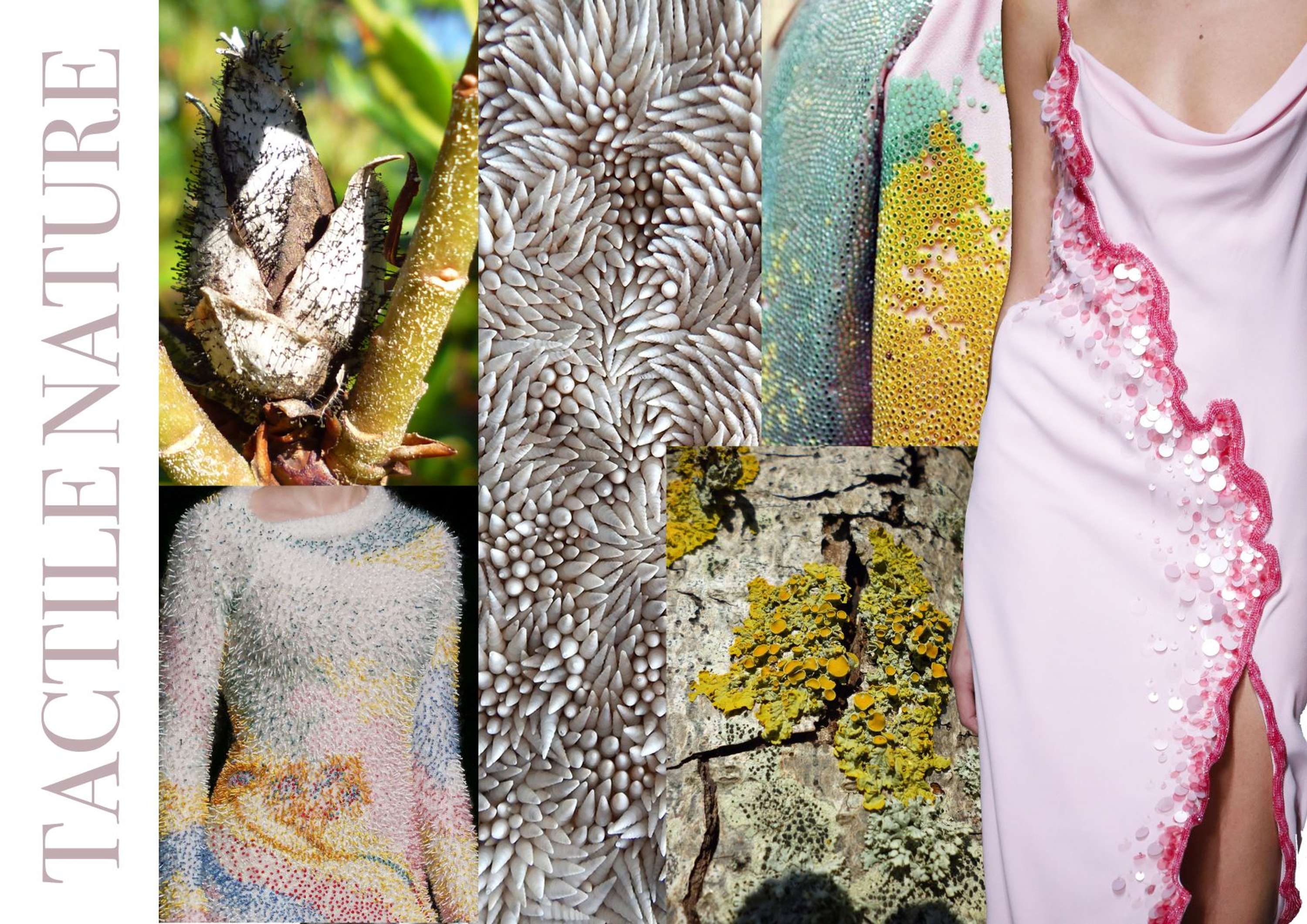 Tactile Nature by Emma O'Brien
