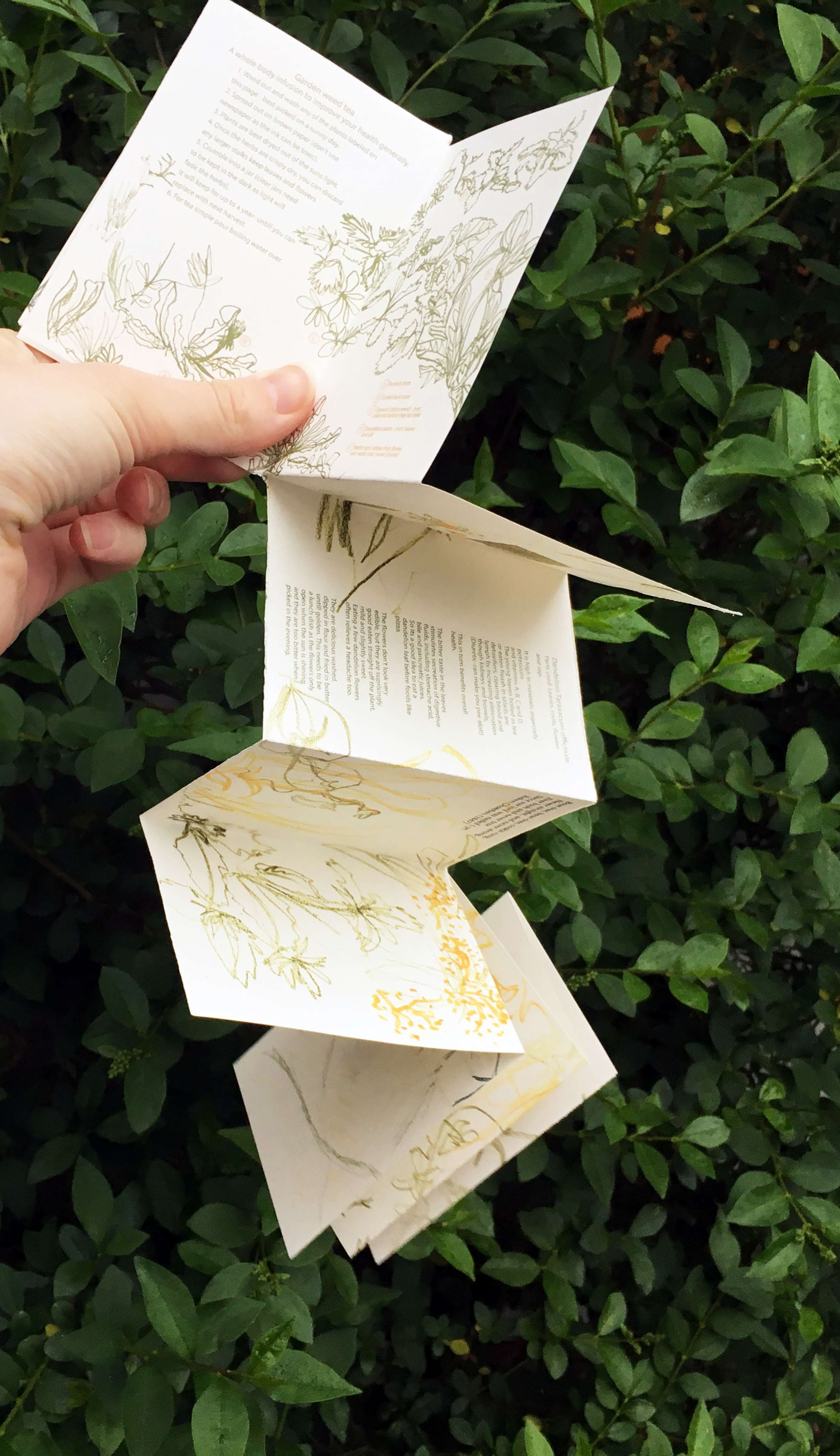 Walking & Foraging by Alice Kirby